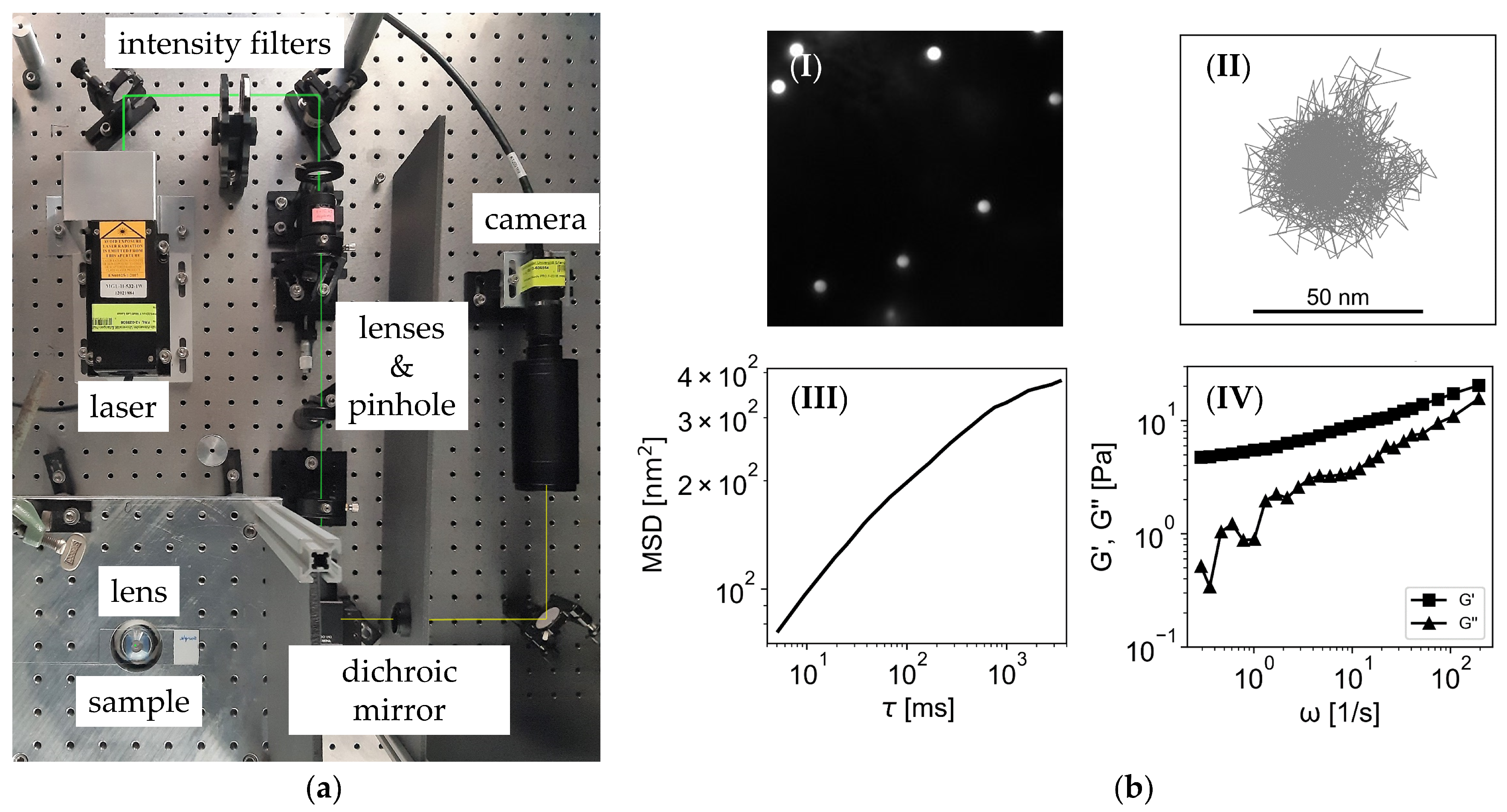Applsci 11 03011 g001 Applsci 11 03011 g001