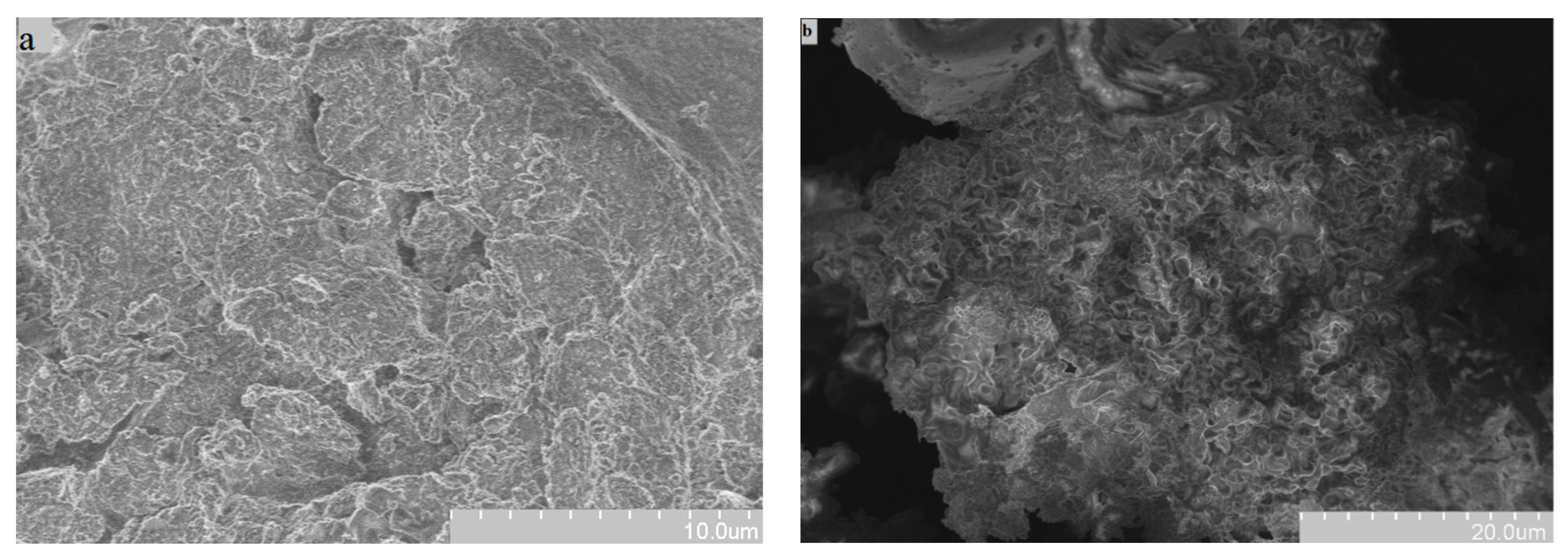 Applsci 11 03021 g002 Applsci 11 03021 g002