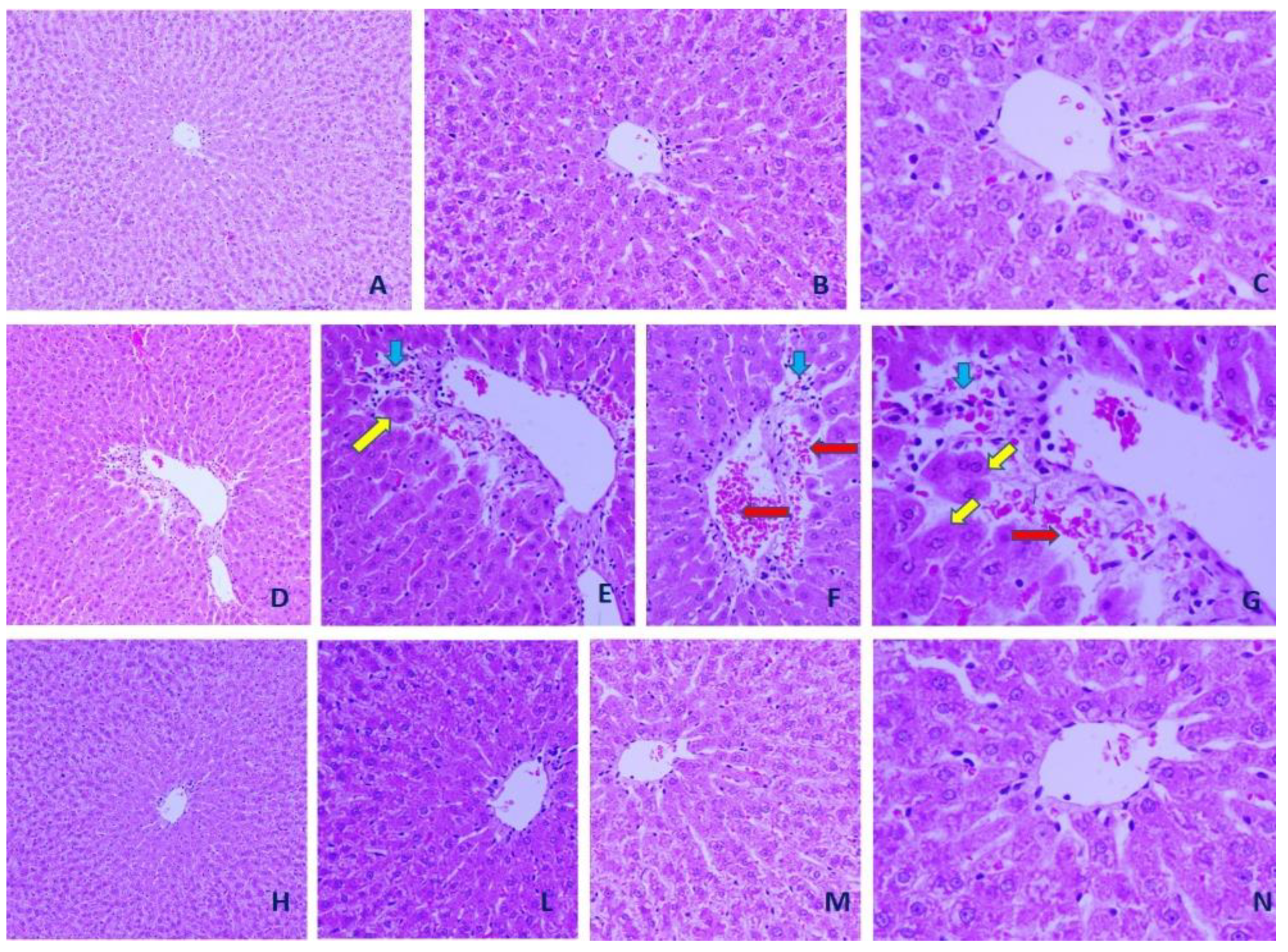 Applsci 11 03044 g006 Applsci 11 03044 g006