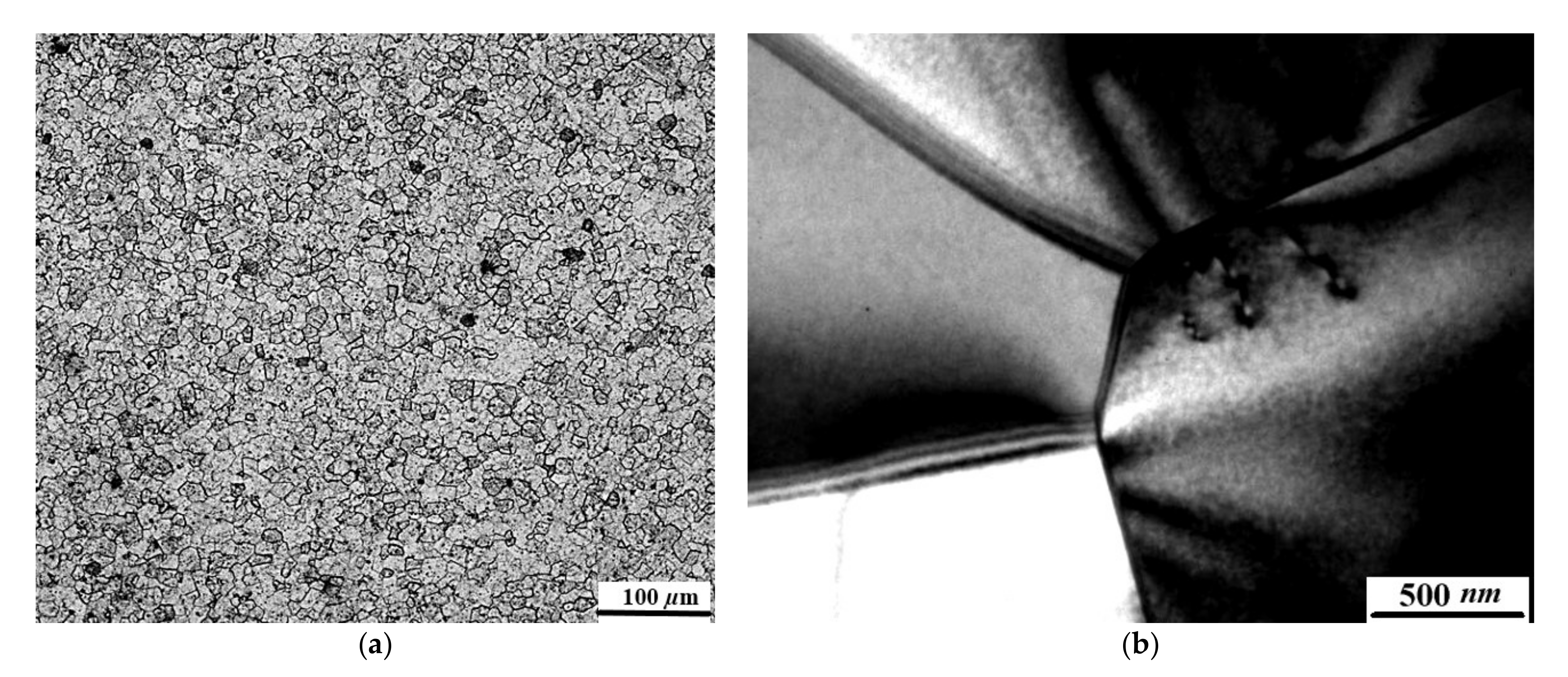 Applsci 11 03052 g001