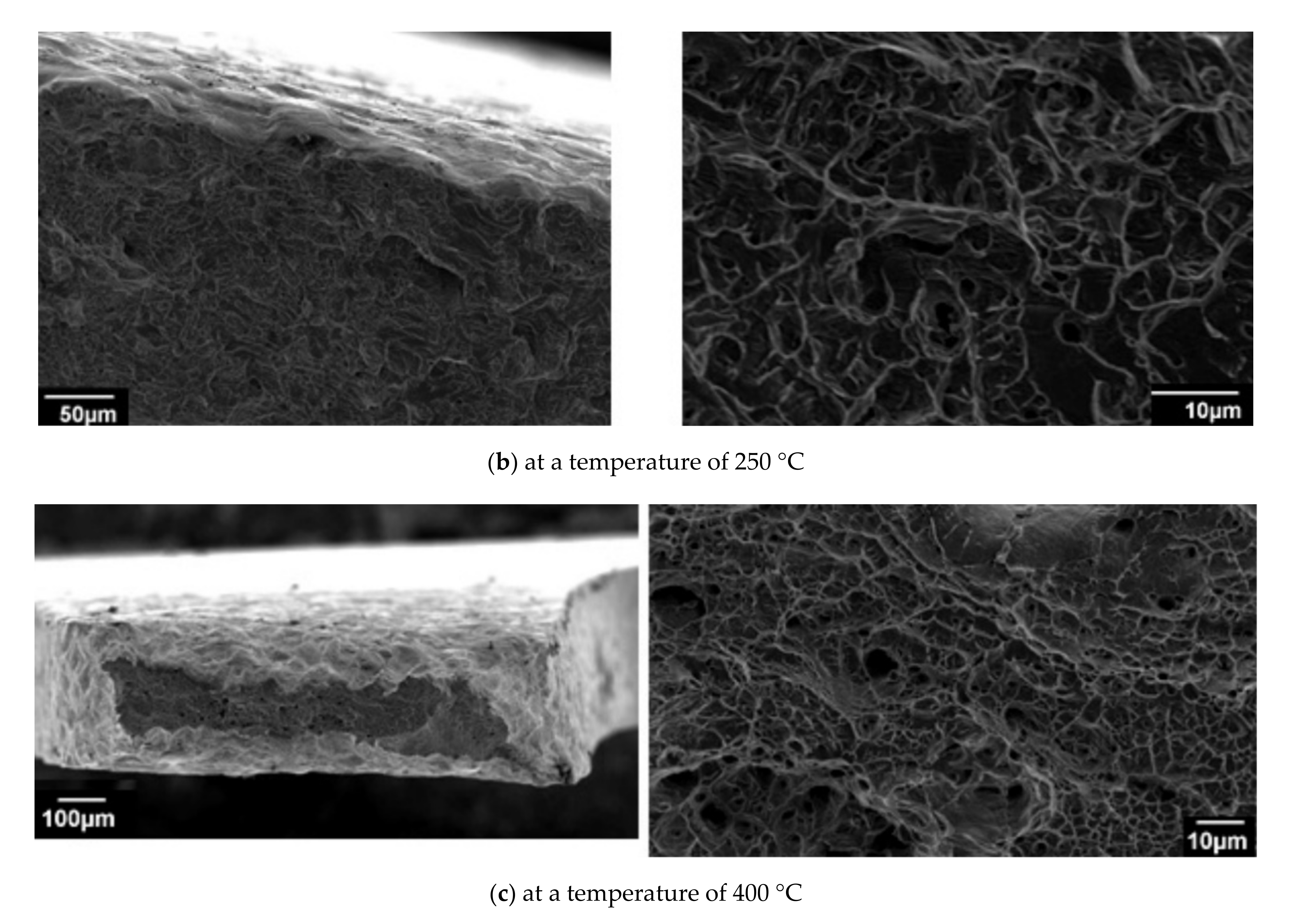 Applsci 11 03052 g006b