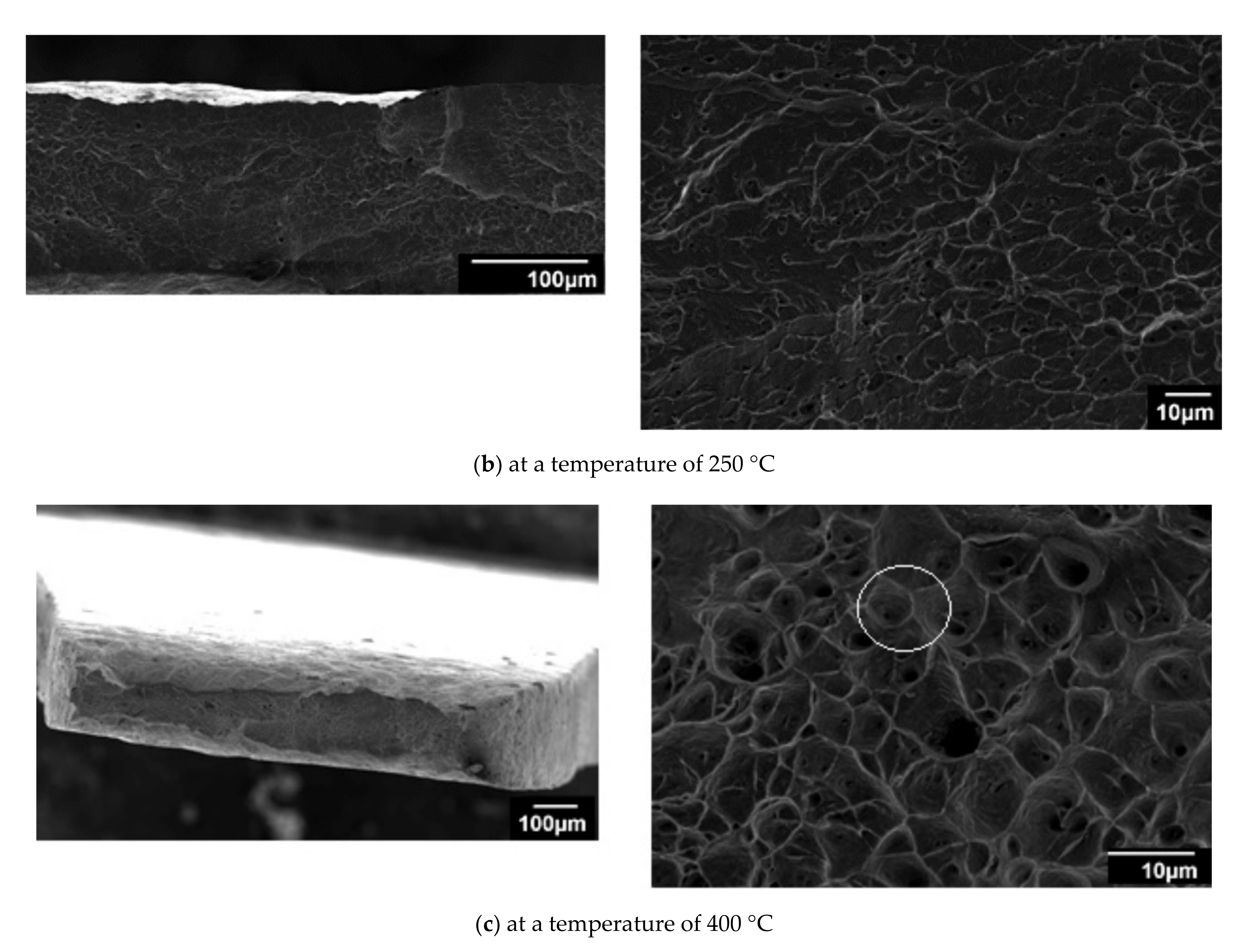 Applsci 11 03052 g007b