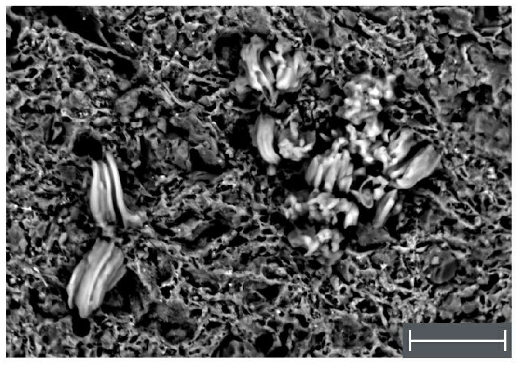 Applsci 11 03073 g005