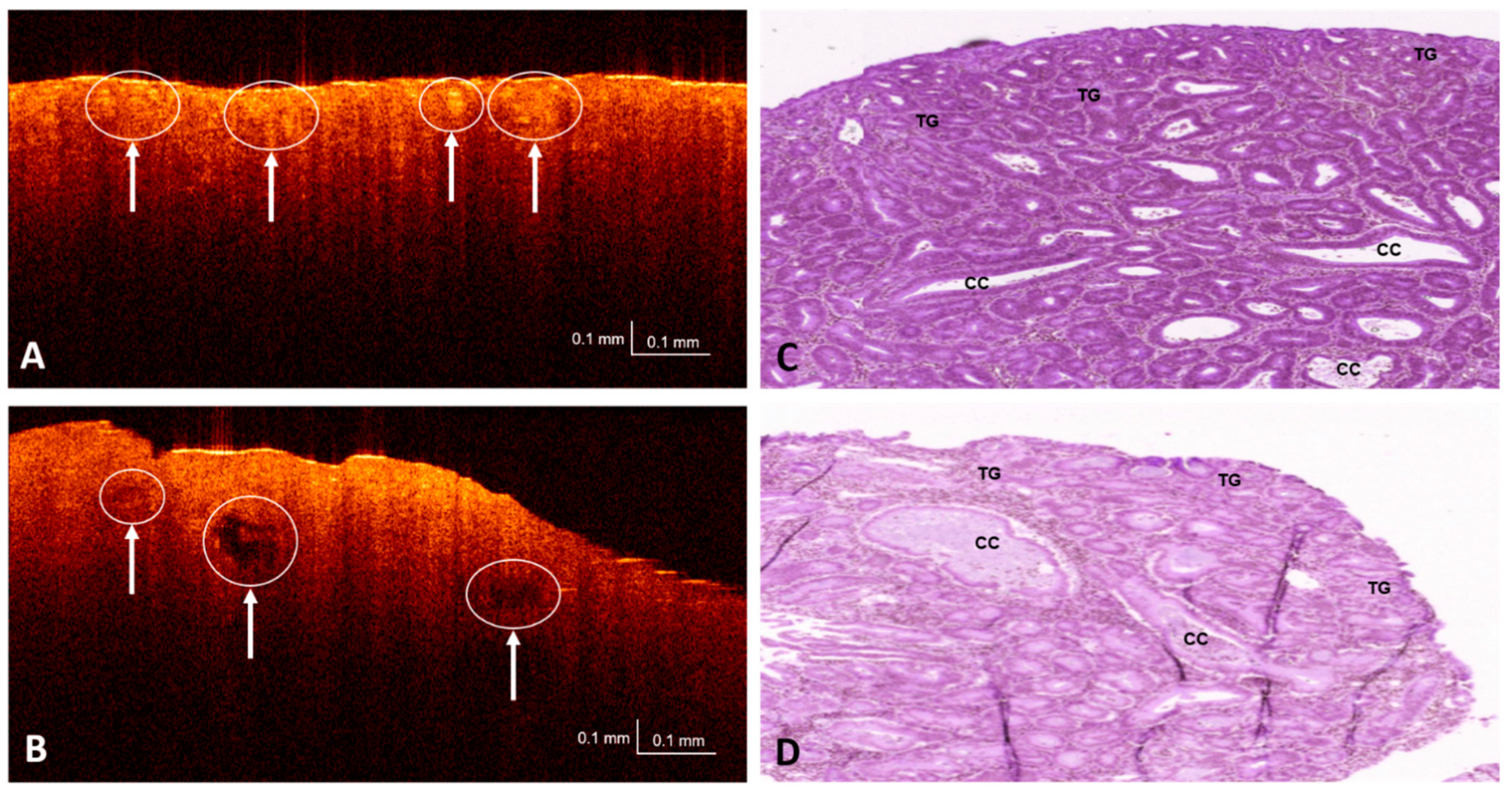 Applsci 11 03119 g005