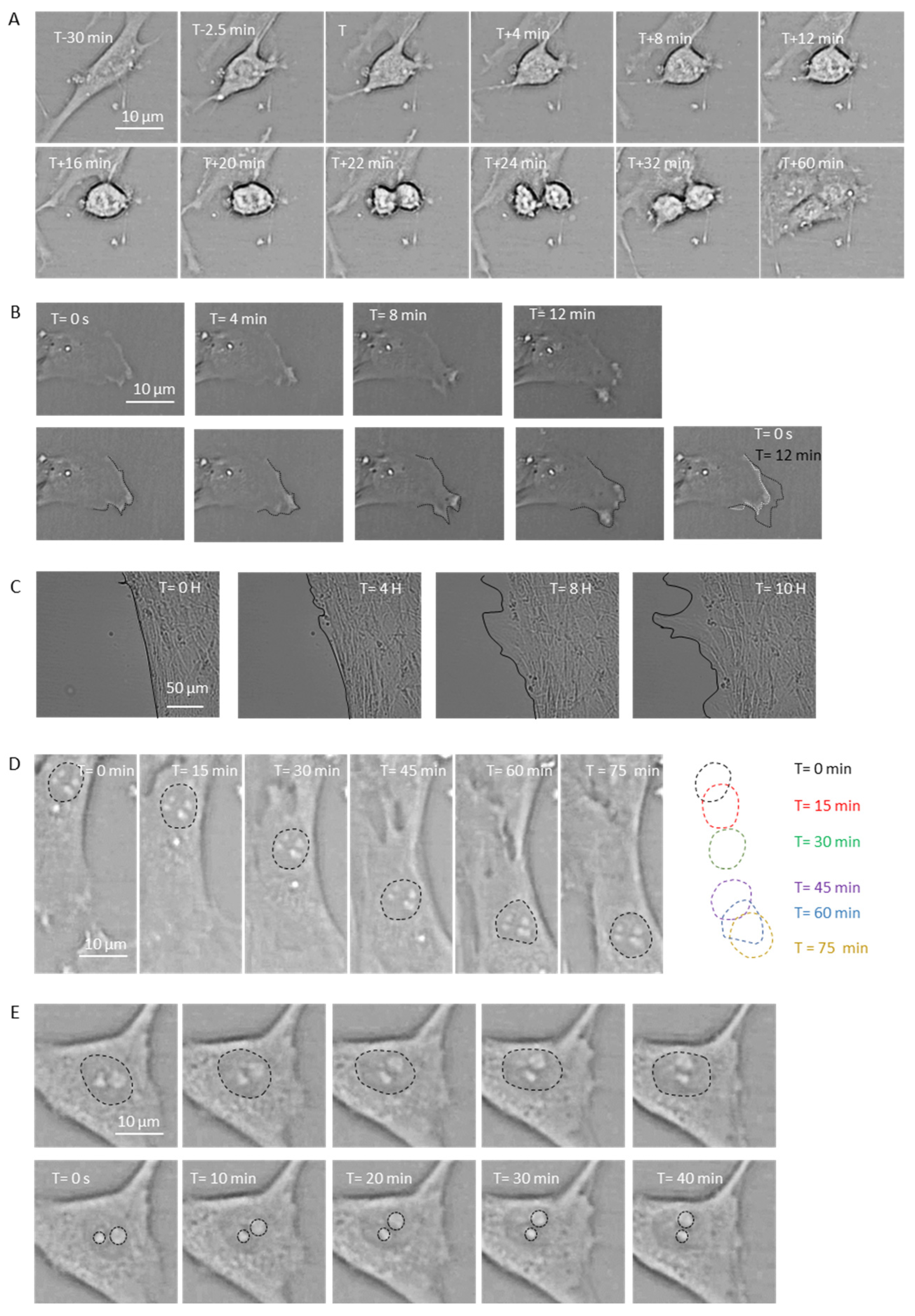 Applsci 11 03122 g003 Applsci 11 03122 g003