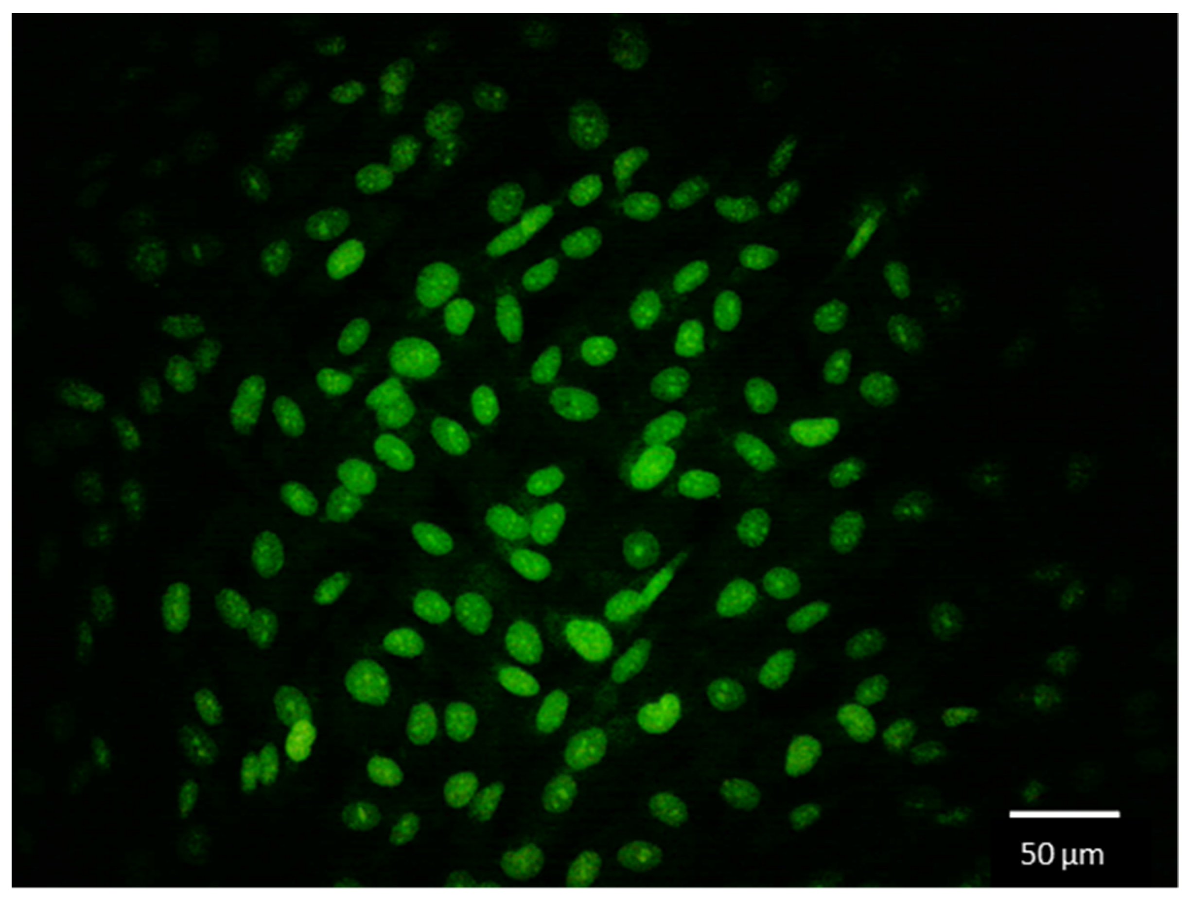 Applsci 11 03122 g004 Applsci 11 03122 g004