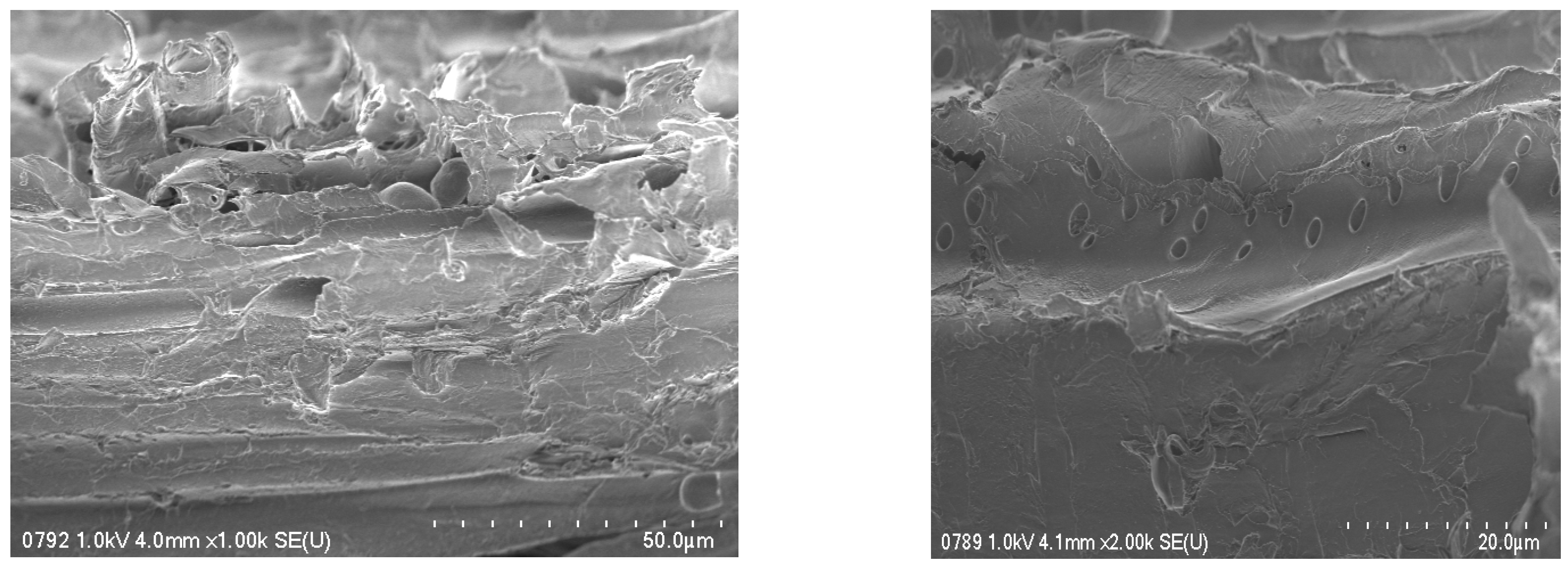 Applsci 11 03125 g001 Applsci 11 03125 g001