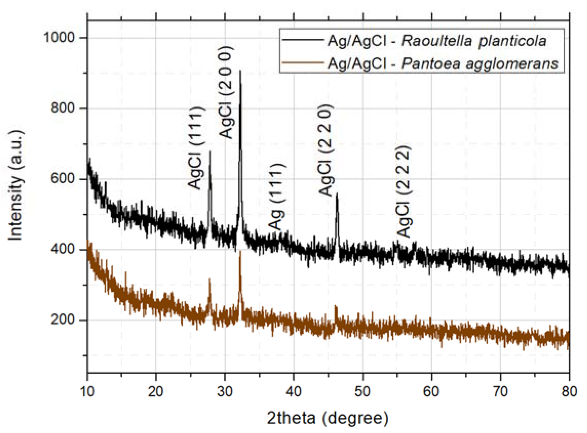 Applsci 11 03134 g002 Applsci 11 03134 g002