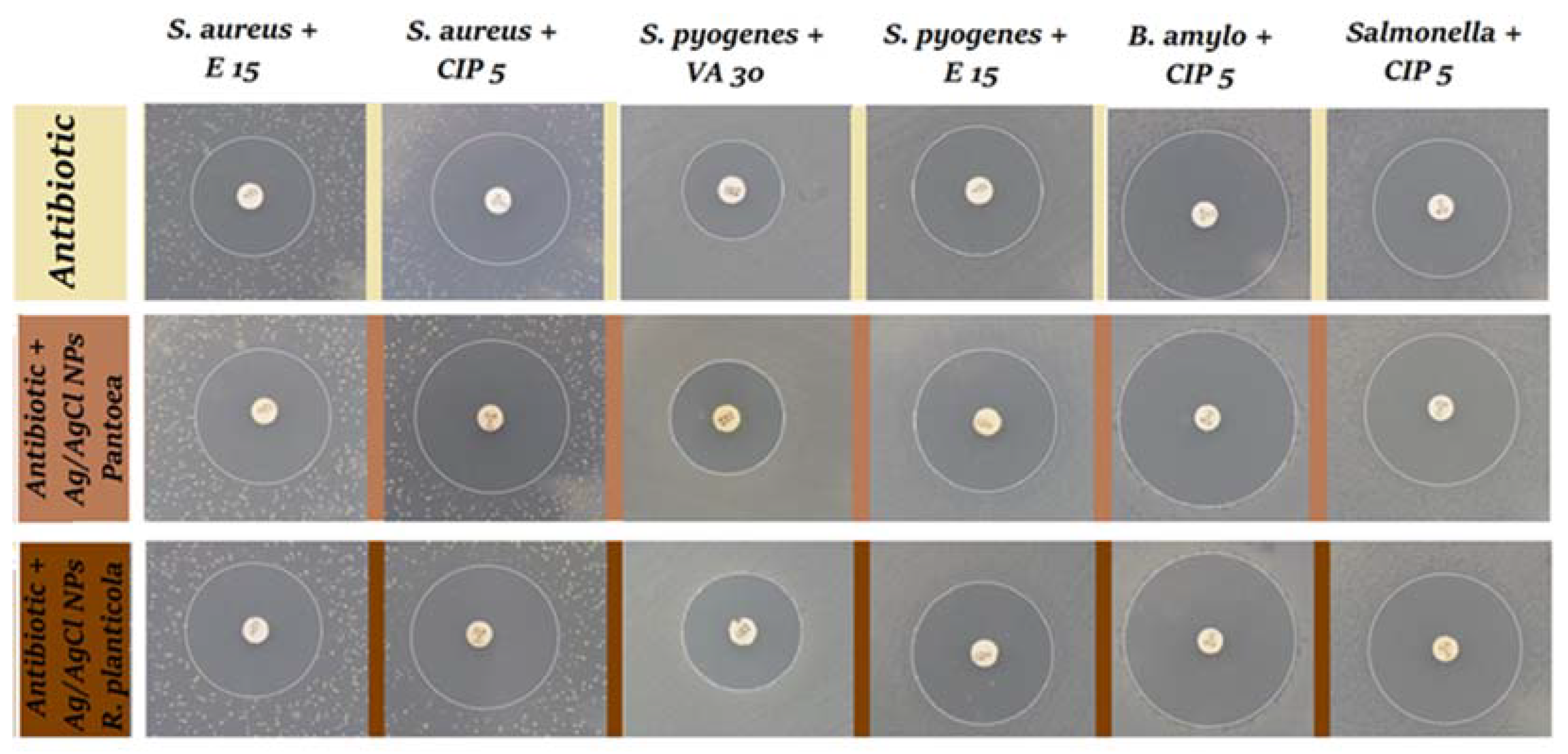 Applsci 11 03134 g008 Applsci 11 03134 g008