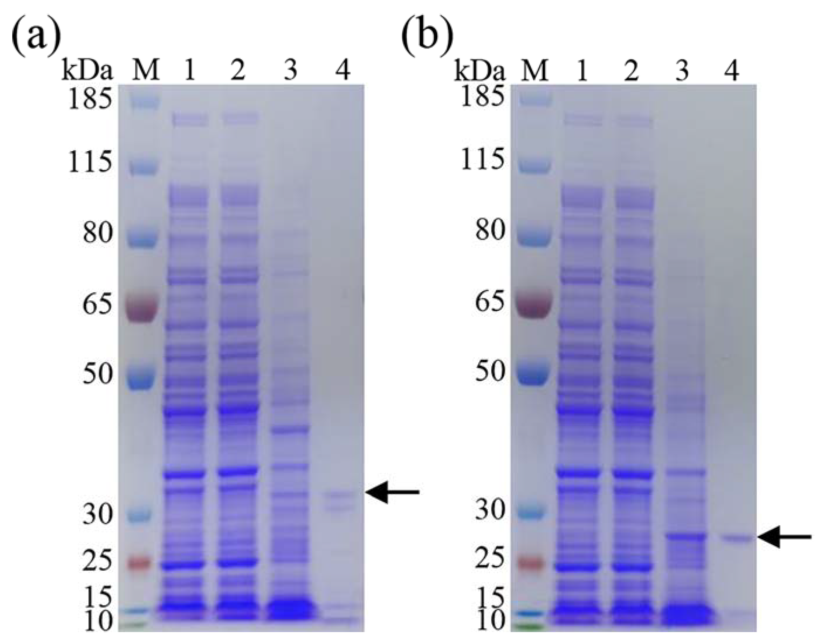 Applsci 11 03136 g003