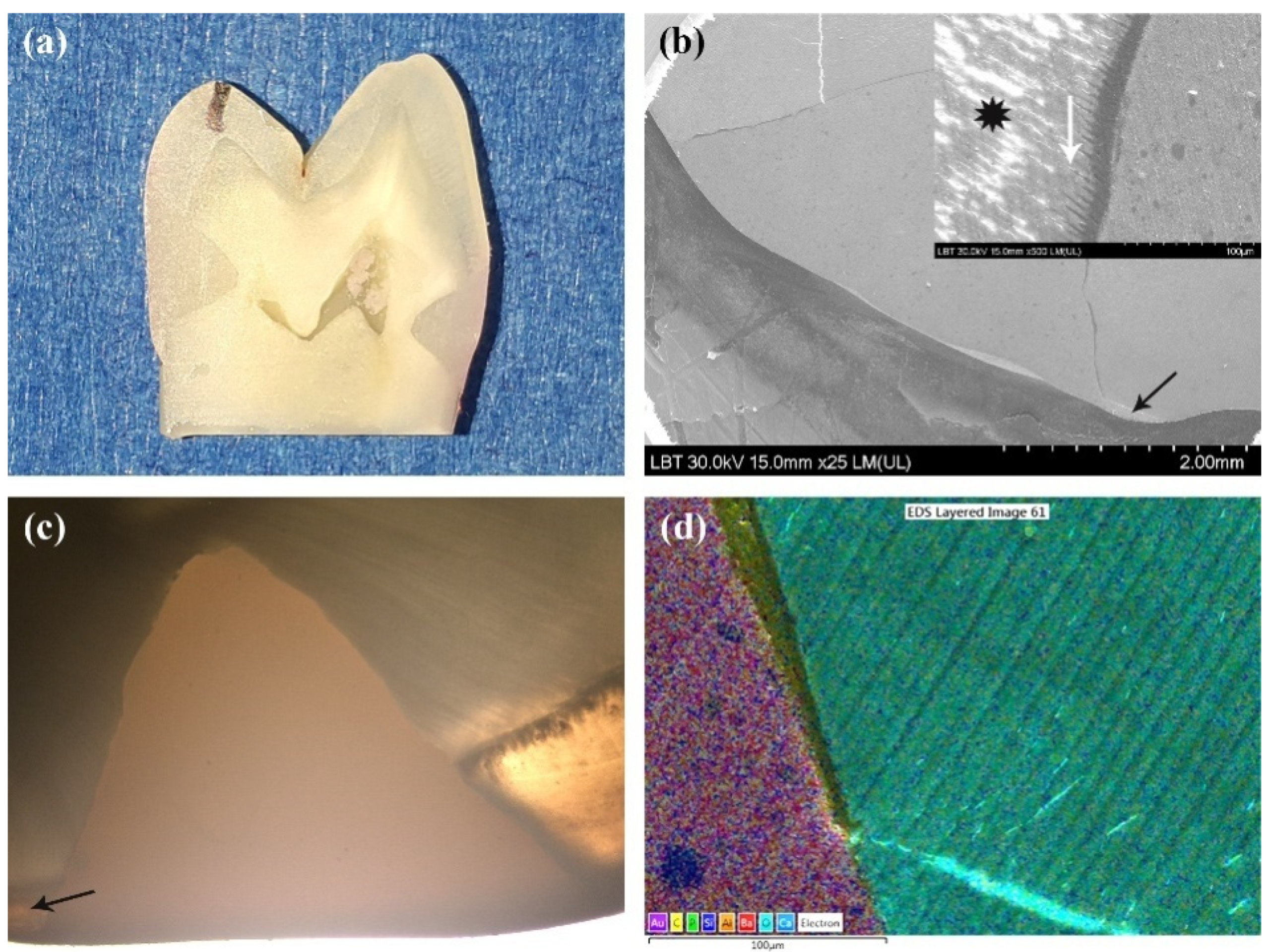 Applsci 11 03173 g006