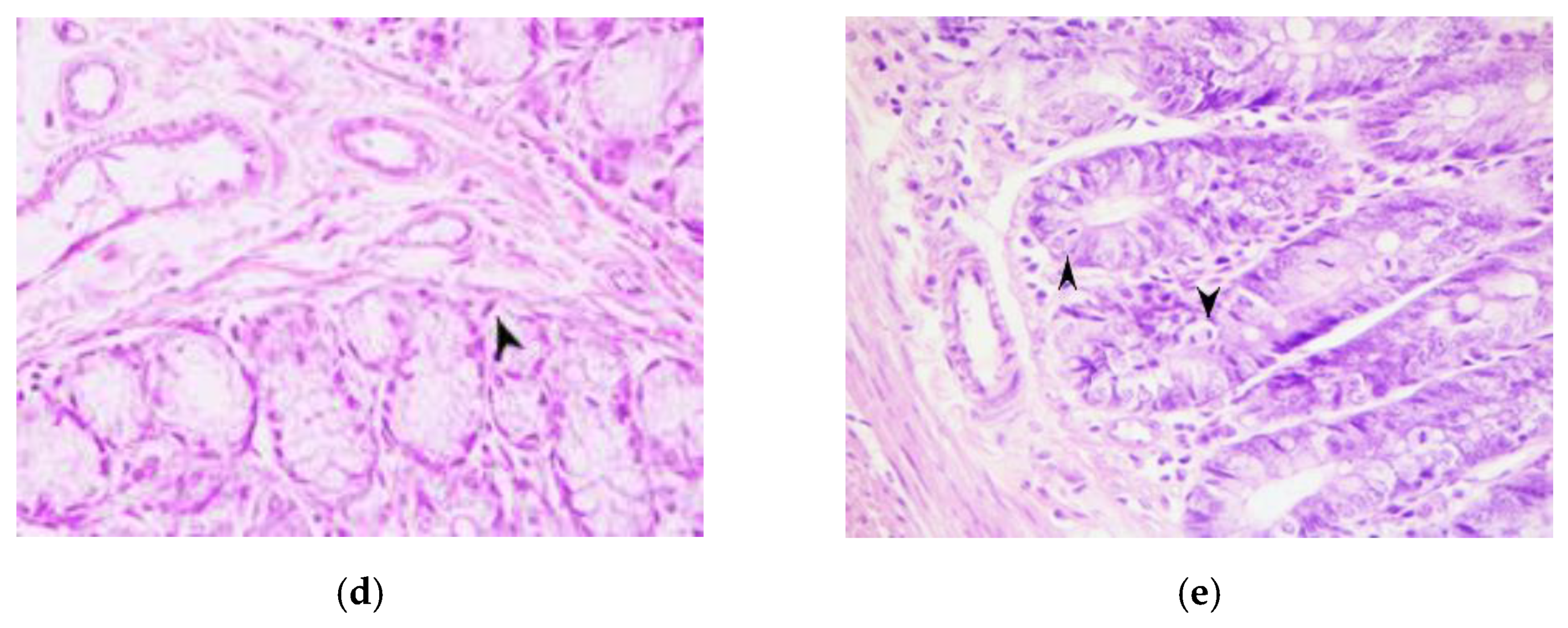 Applsci 11 03174 g006b Applsci 11 03174 g006b