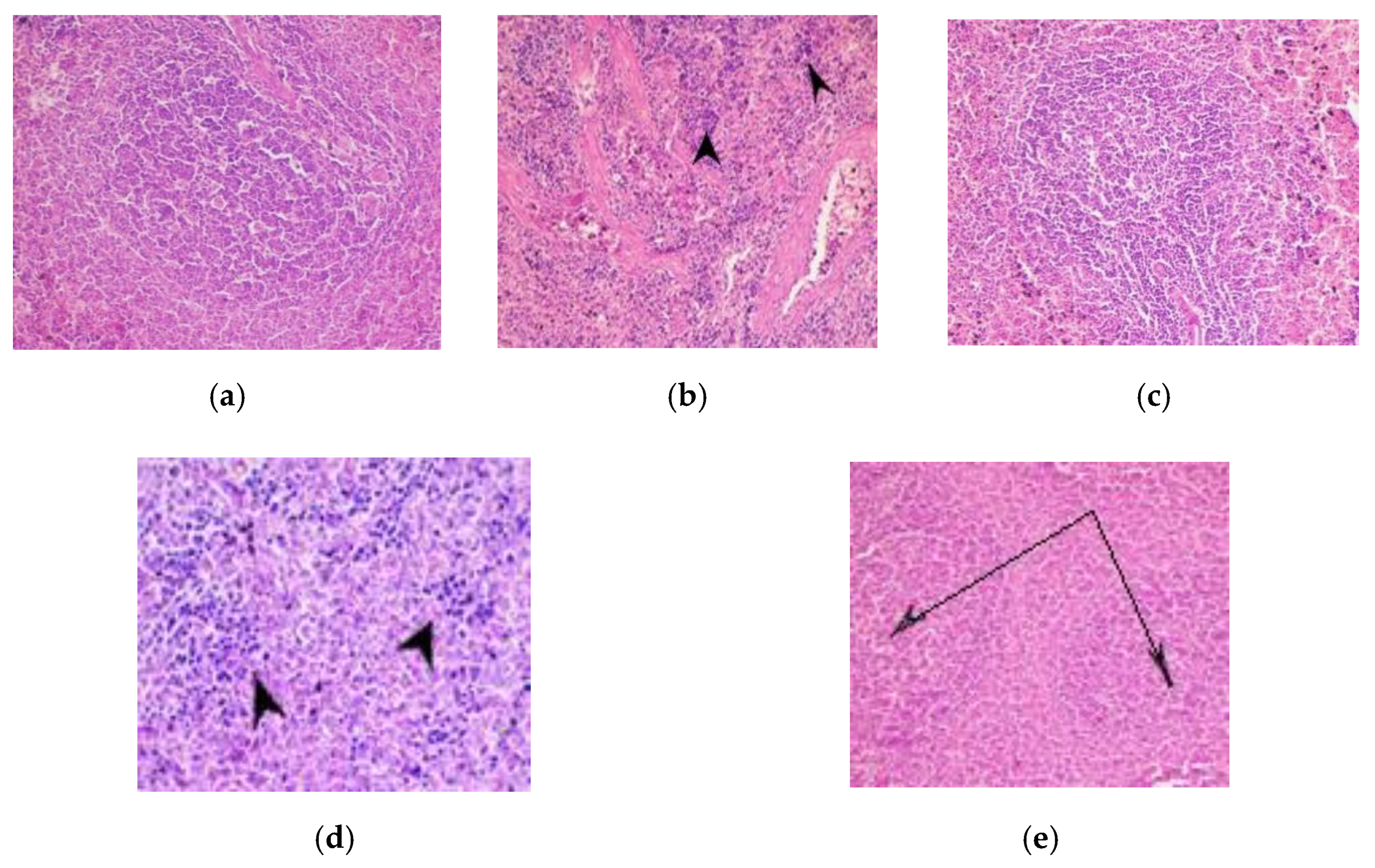 Applsci 11 03174 g007 Applsci 11 03174 g007