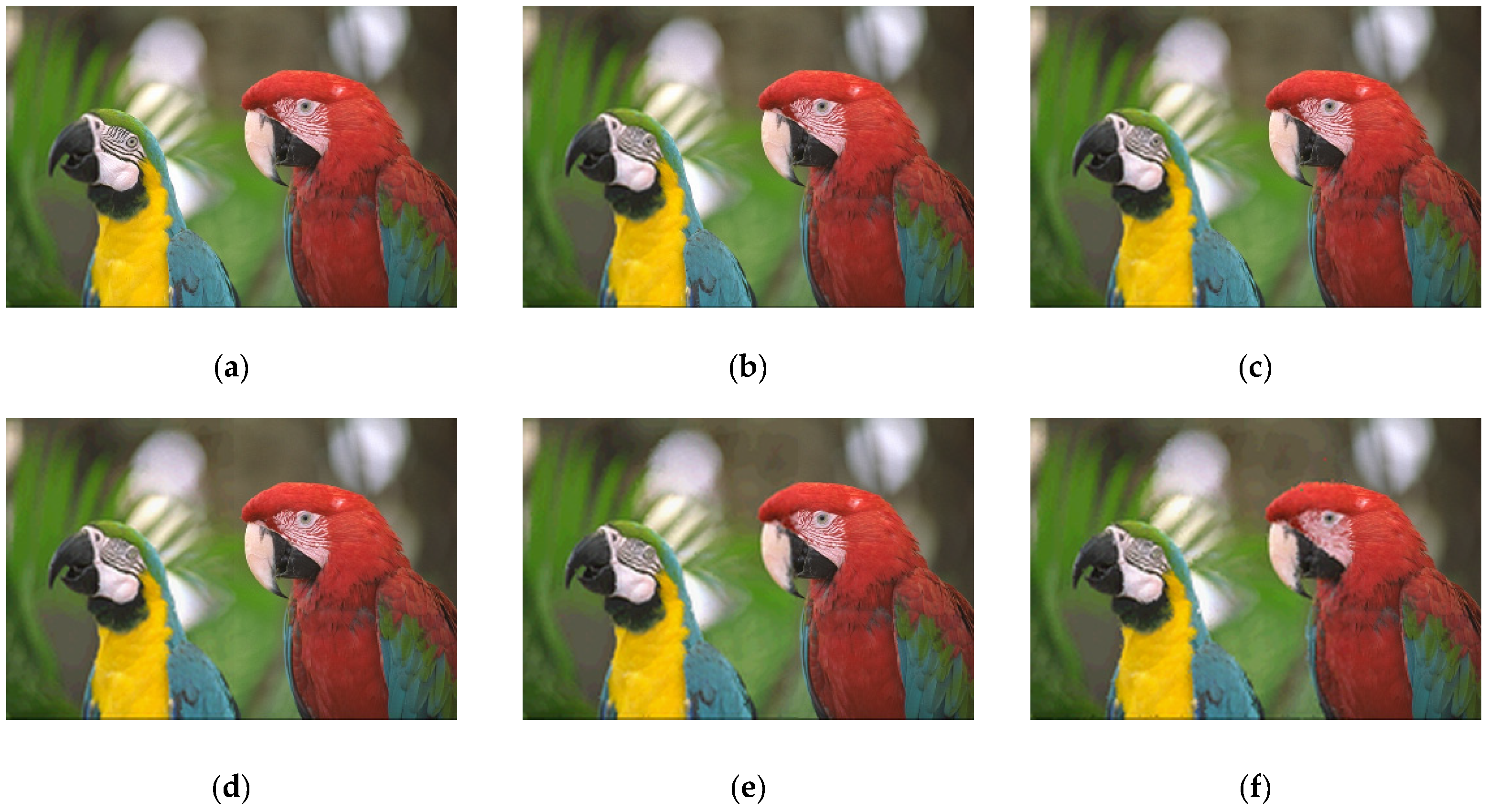 Applsci 11 03187 g007a Applsci 11 03187 g007a