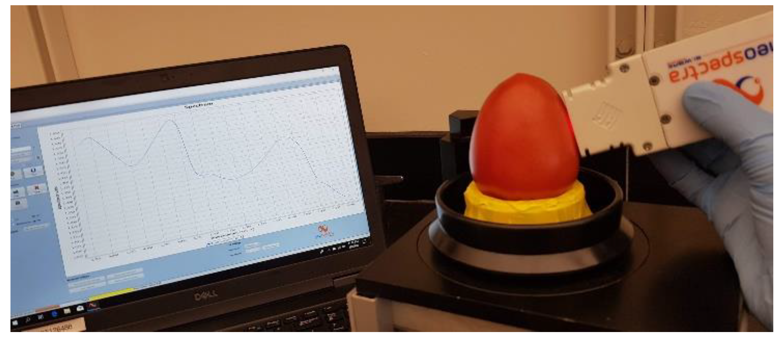 https://www.mdpi.com/applsci/applsci-11-03209/article_deploy/html/images/applsci-11-03209-g001.png