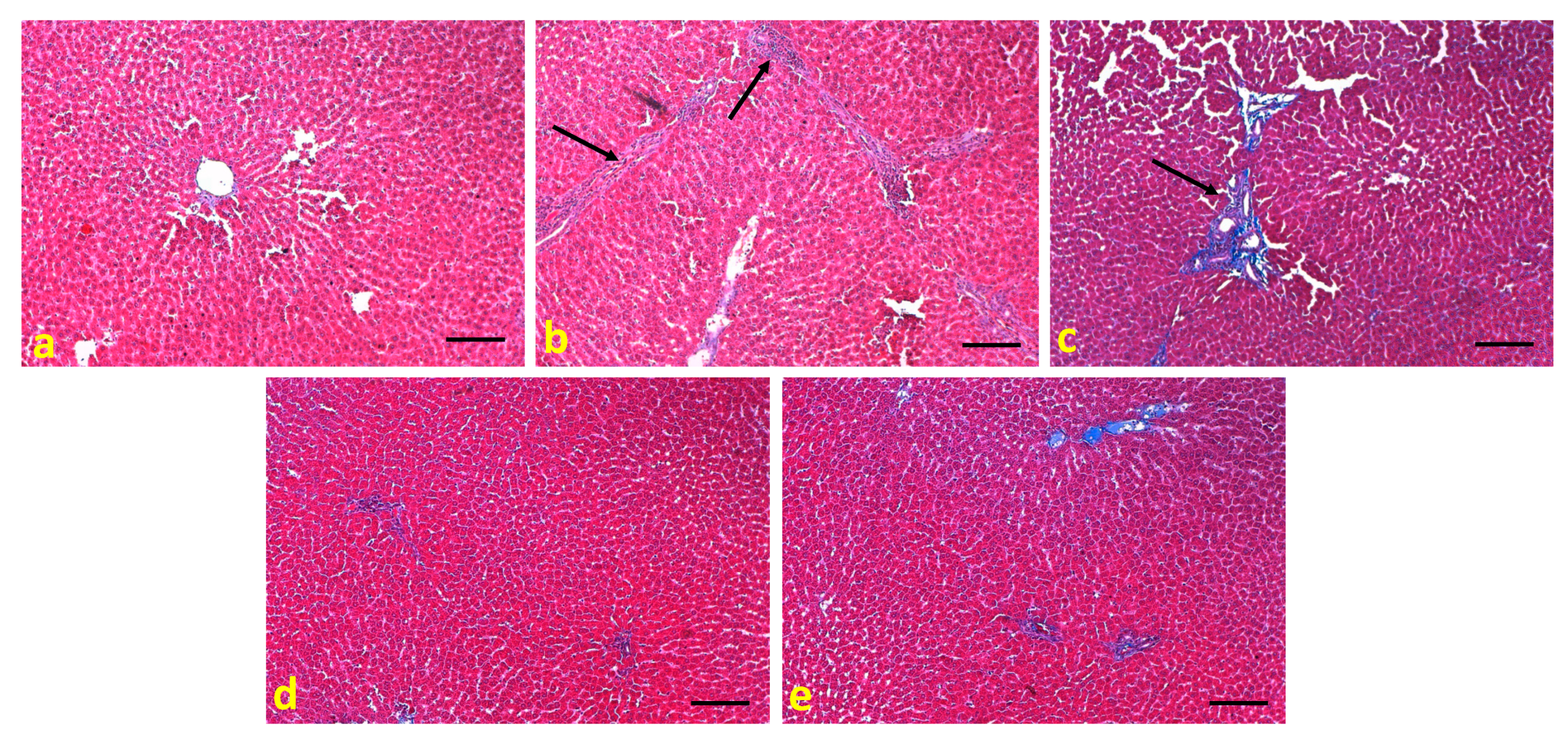 Applsci 11 03223 g011