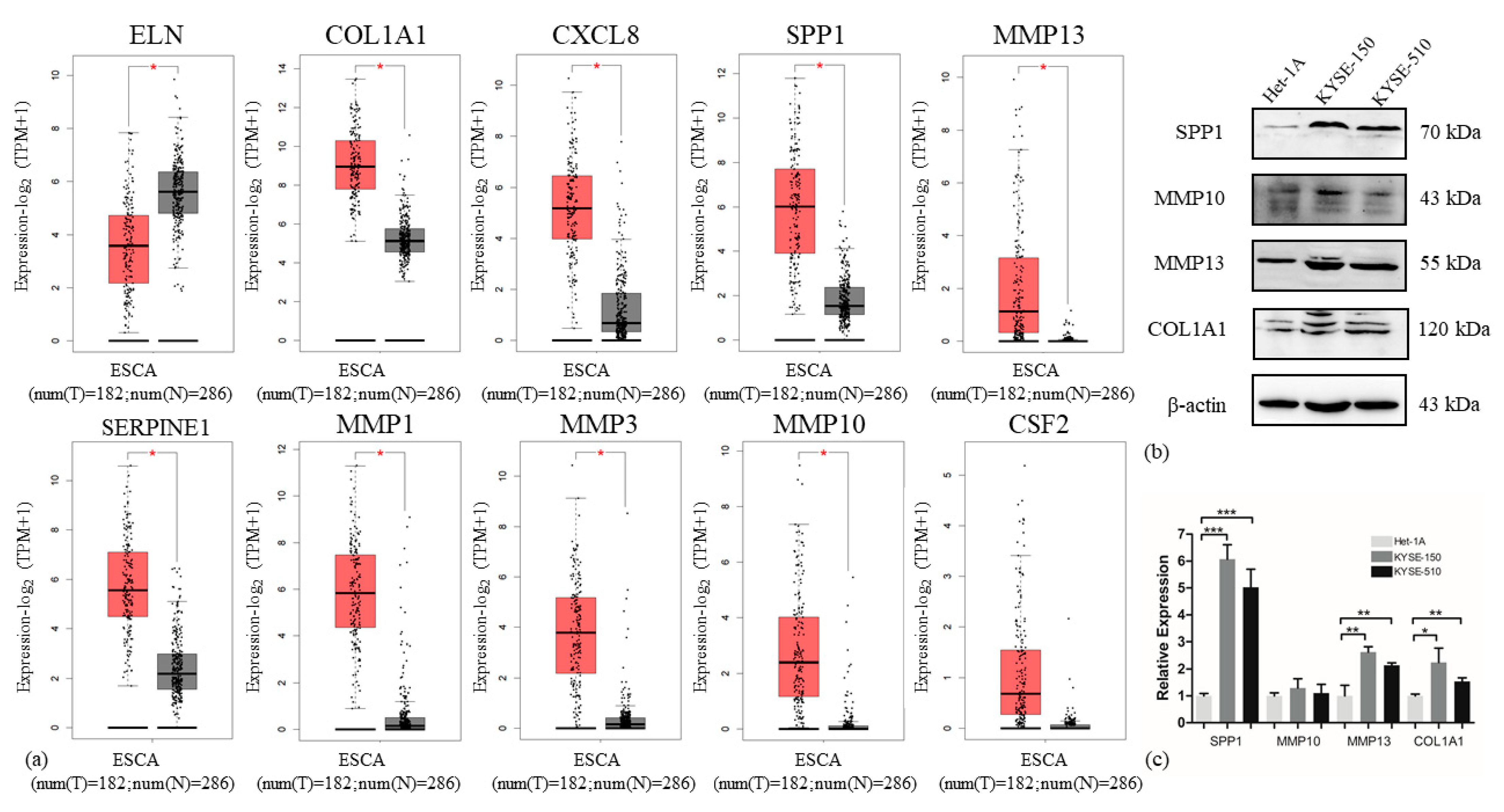 Applsci 11 03229 g008 Applsci 11 03229 g008