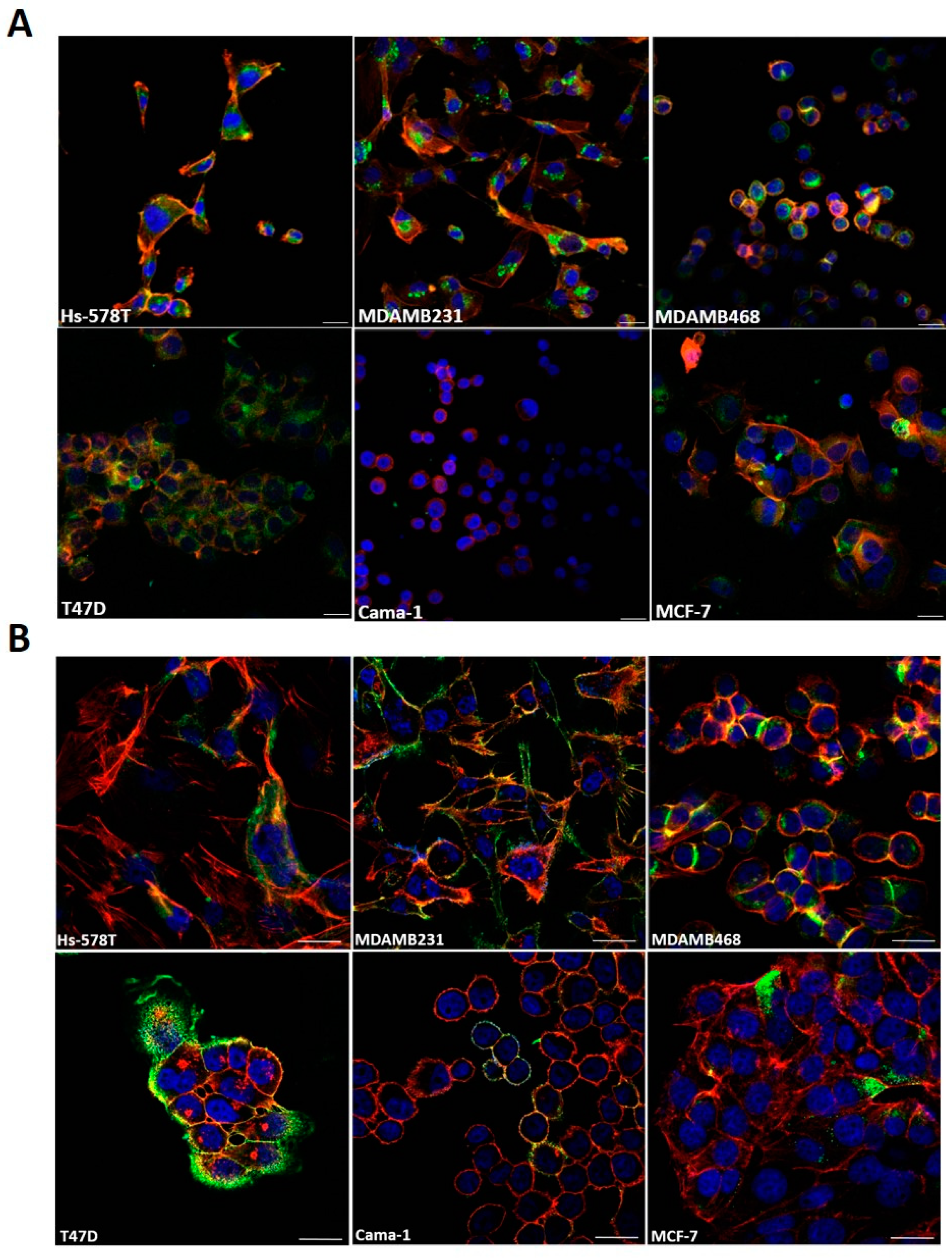 Applsci 11 03256 g002 Applsci 11 03256 g002
