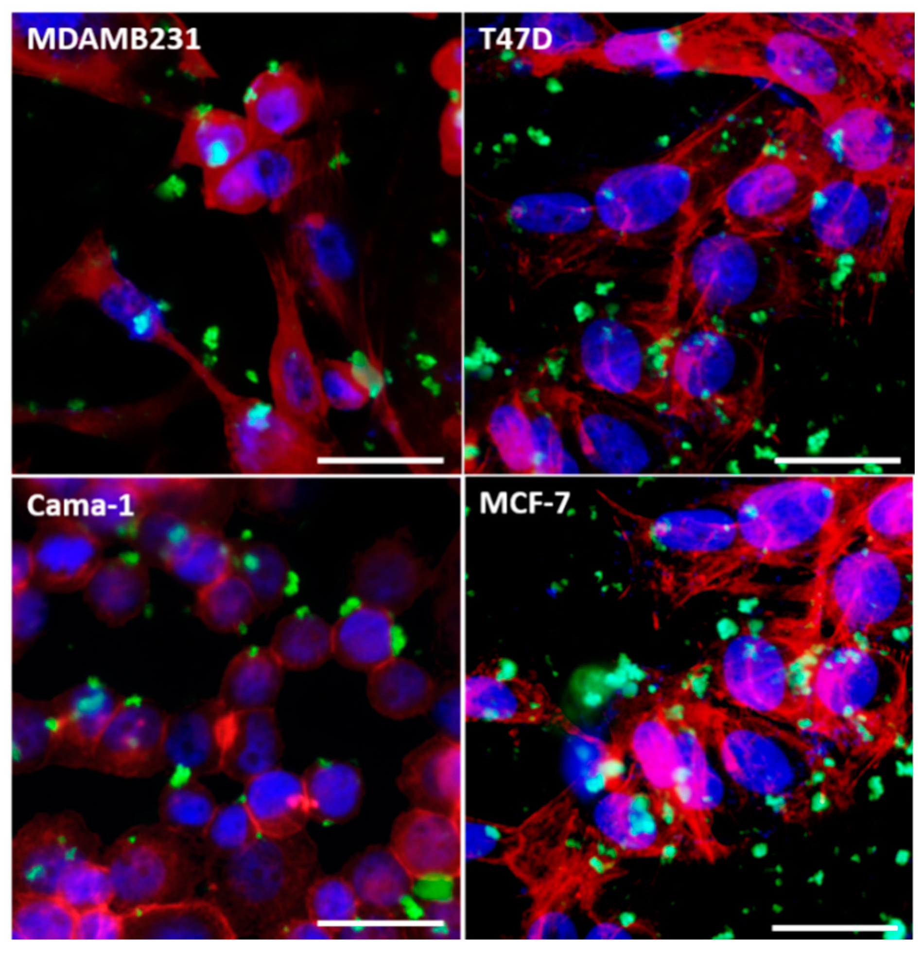 Applsci 11 03256 g005 Applsci 11 03256 g005