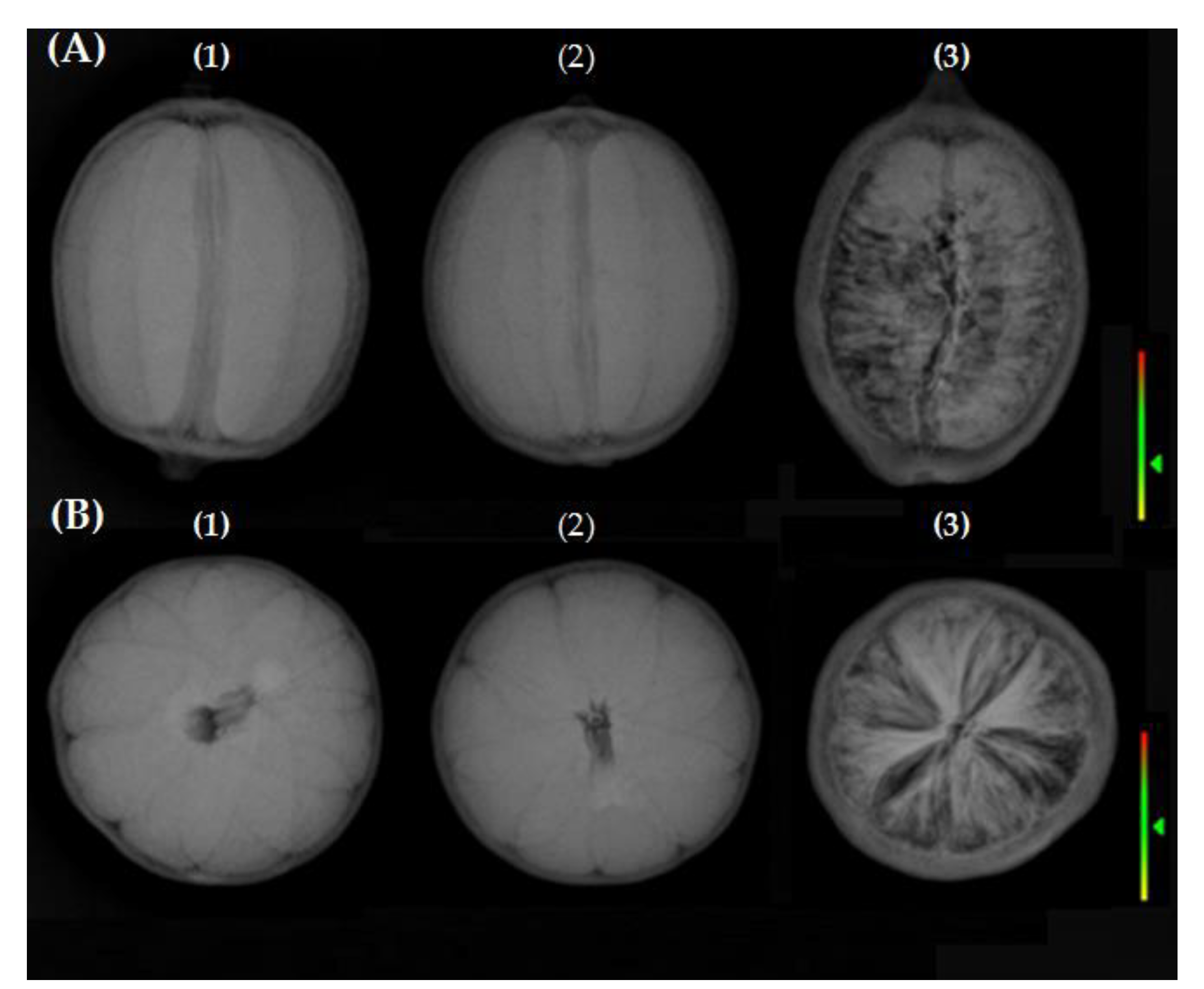 Applsci 11 03261 g002 Applsci 11 03261 g002