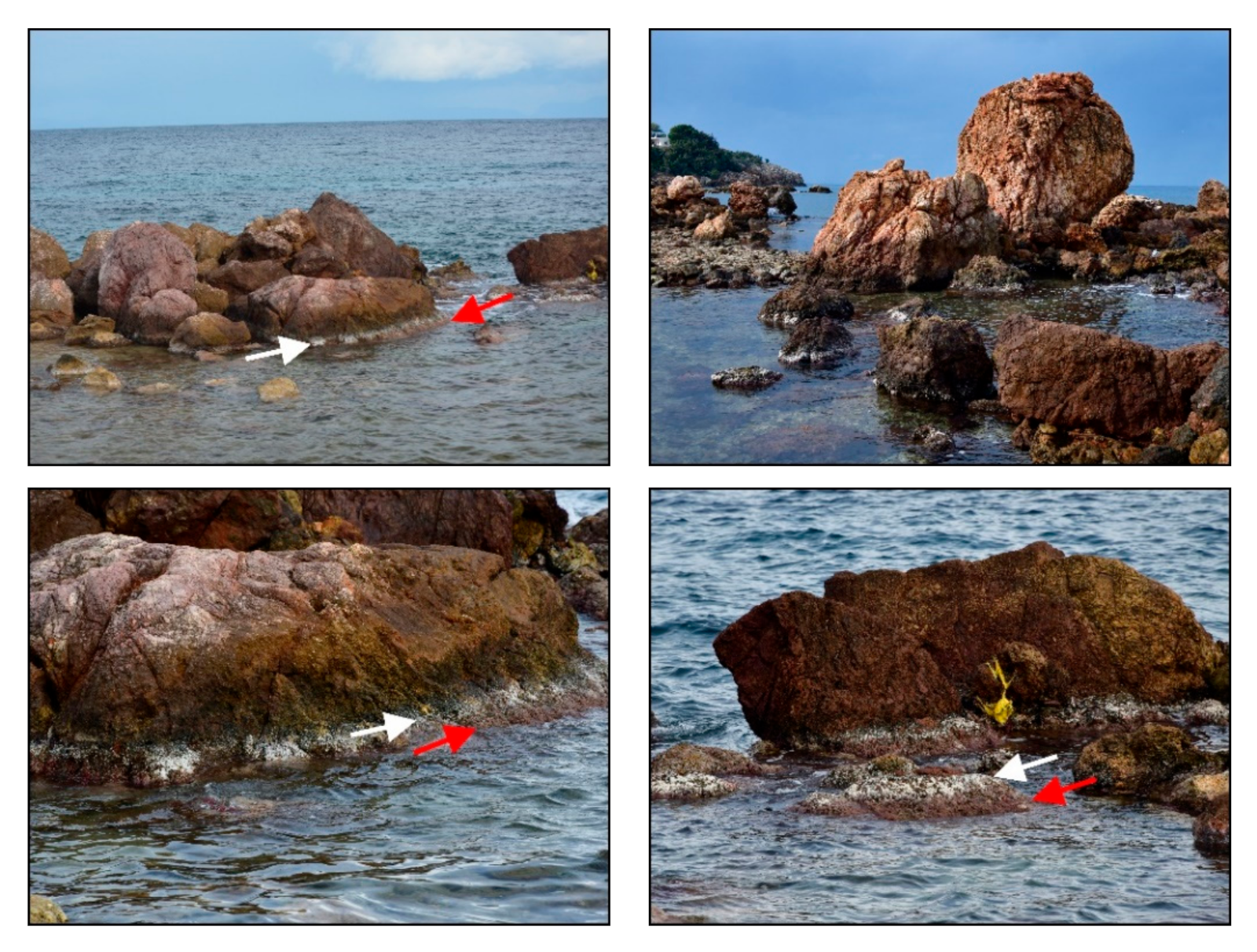 Applsci 11 03281 g010 Applsci 11 03281 g010