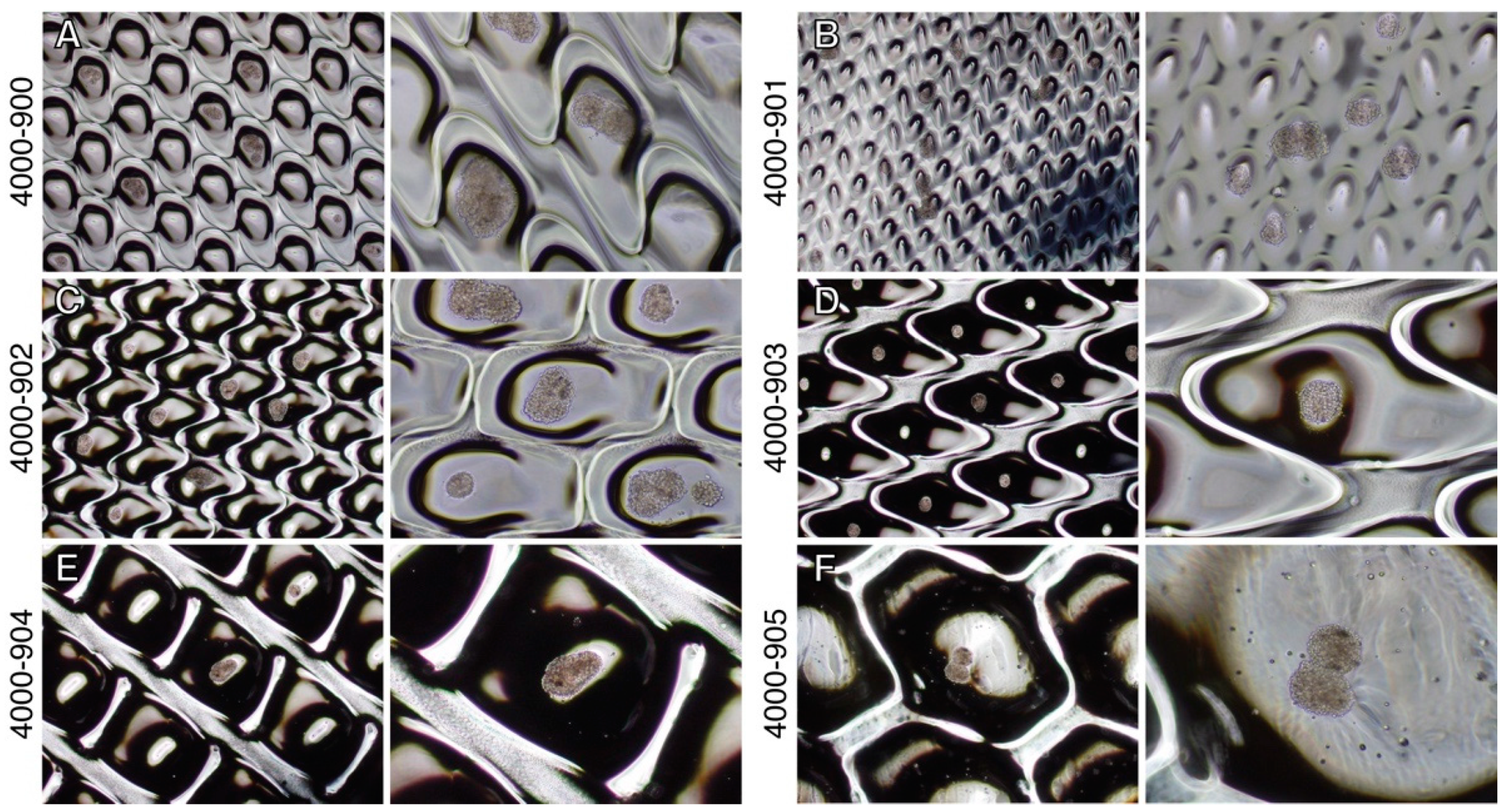 Applsci 11 03309 g001