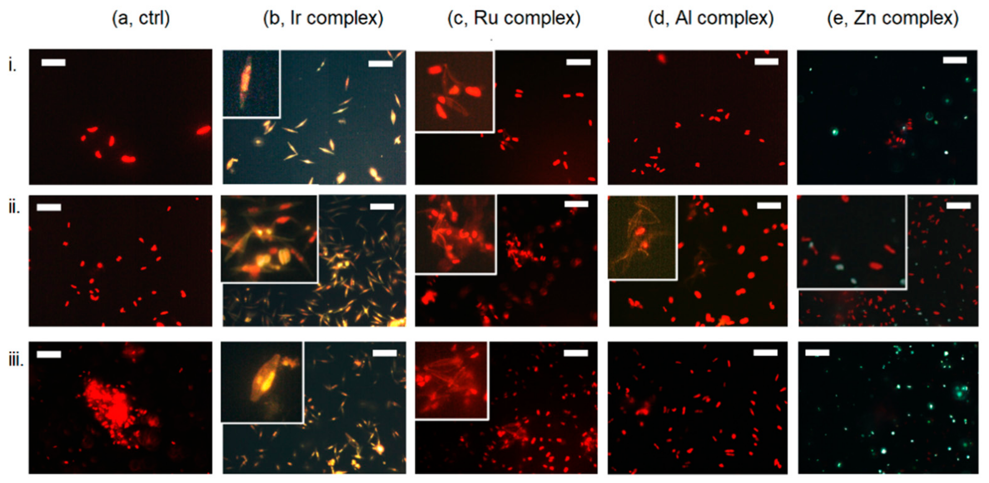 Applsci 11 03327 g003 Applsci 11 03327 g003