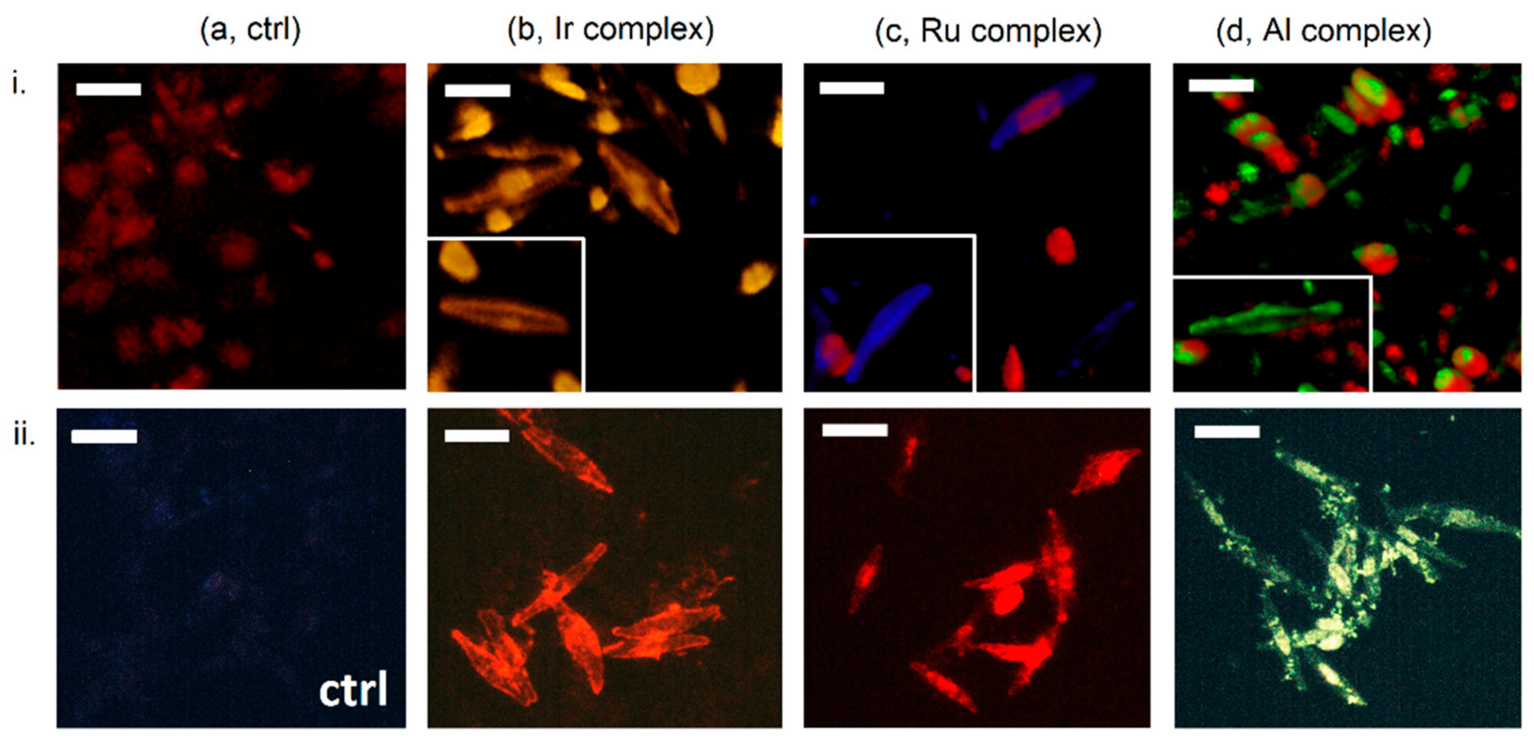 Applsci 11 03327 g005 Applsci 11 03327 g005