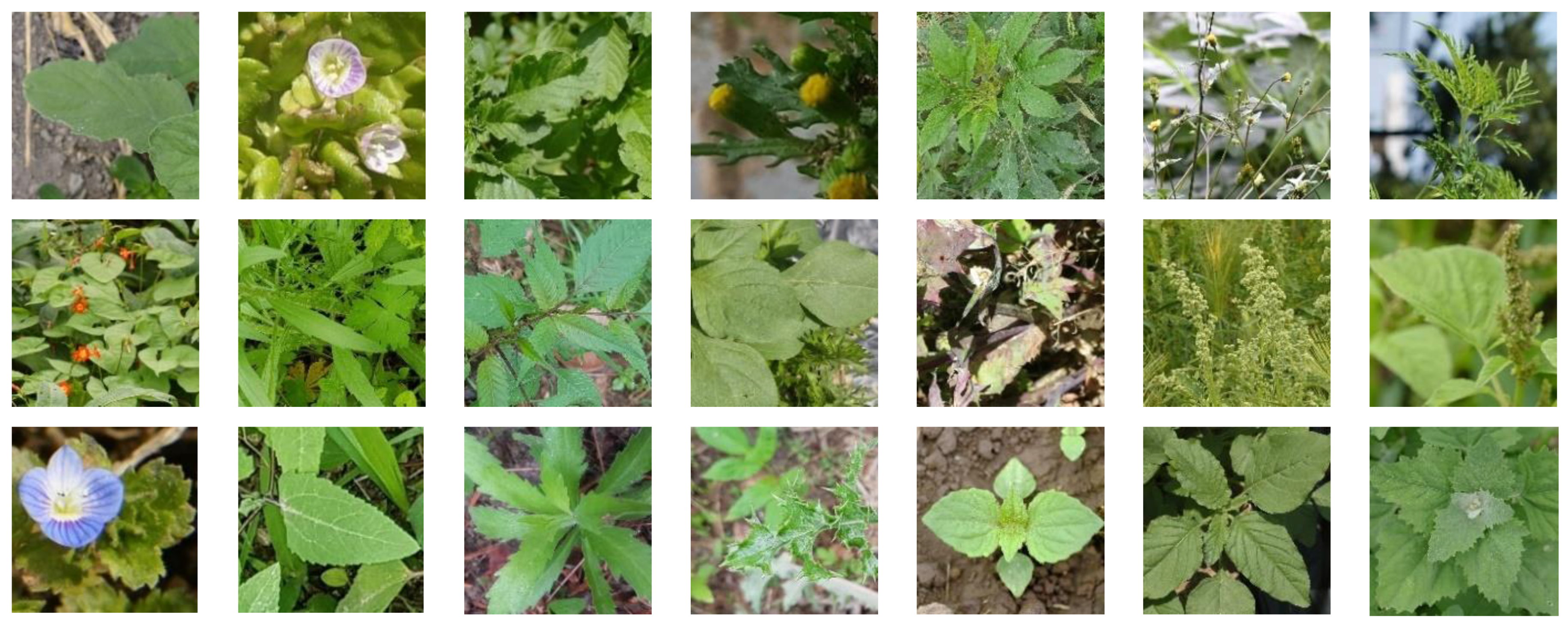 Applsci 11 03331 g006