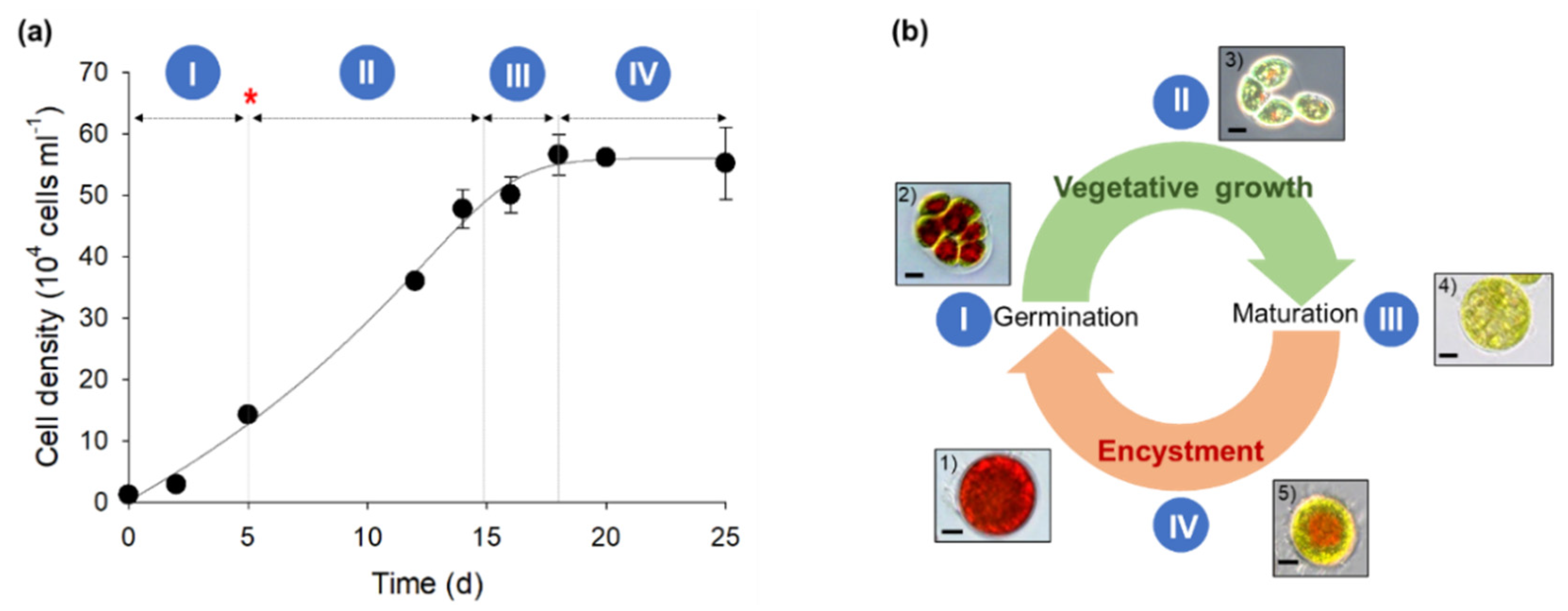 Applsci 11 03348 g002 Applsci 11 03348 g002
