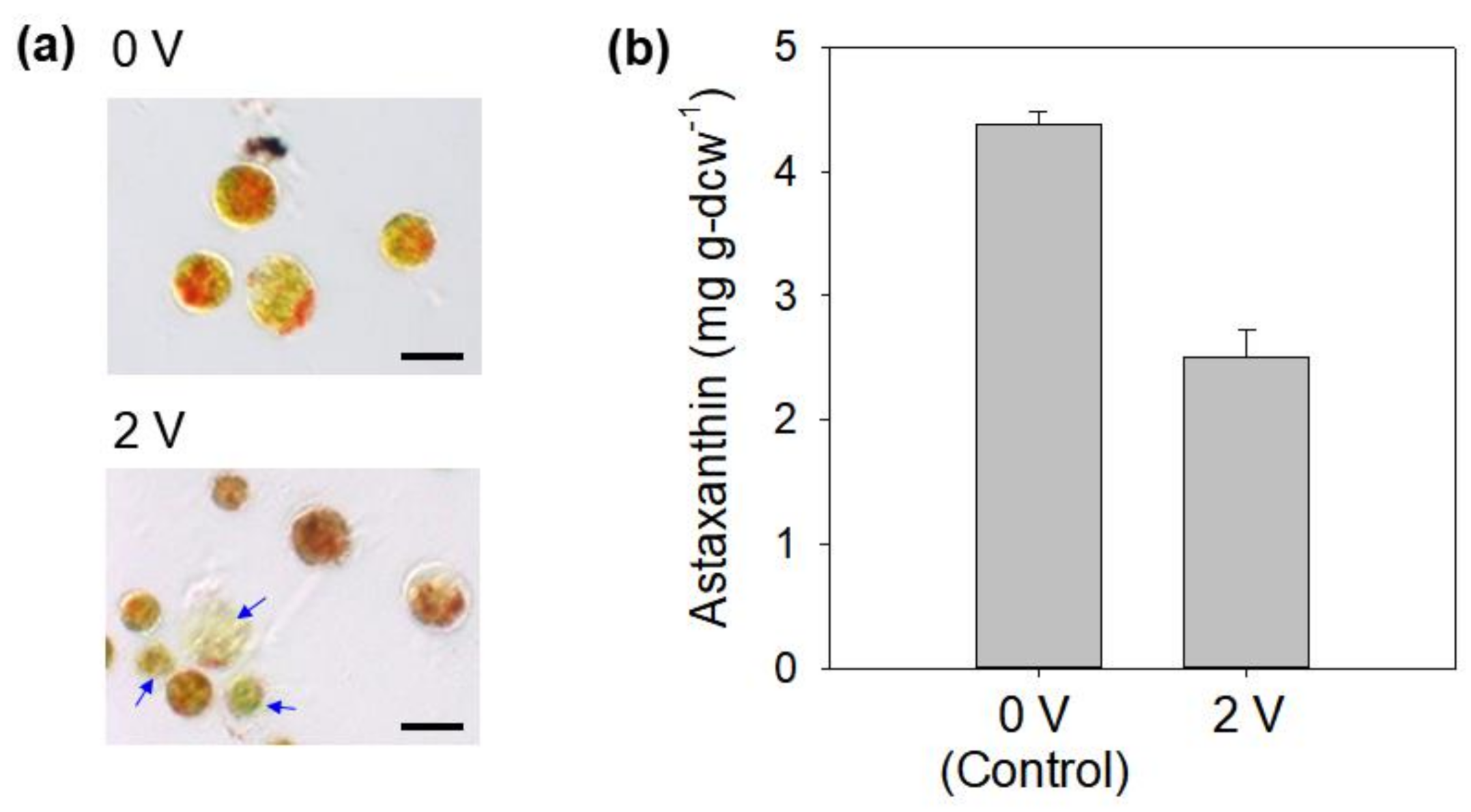 Applsci 11 03348 g003 Applsci 11 03348 g003