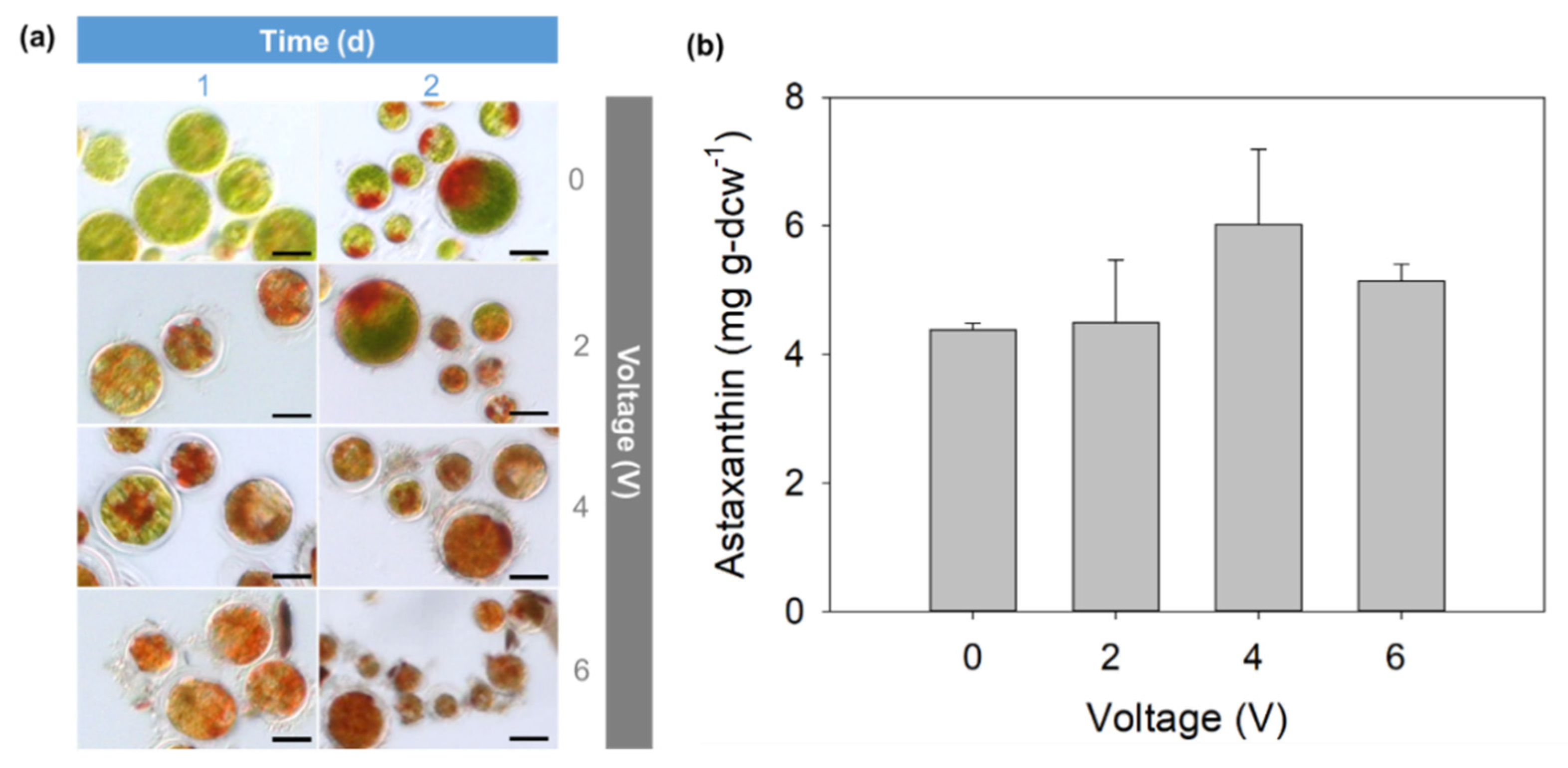 Applsci 11 03348 g004 Applsci 11 03348 g004