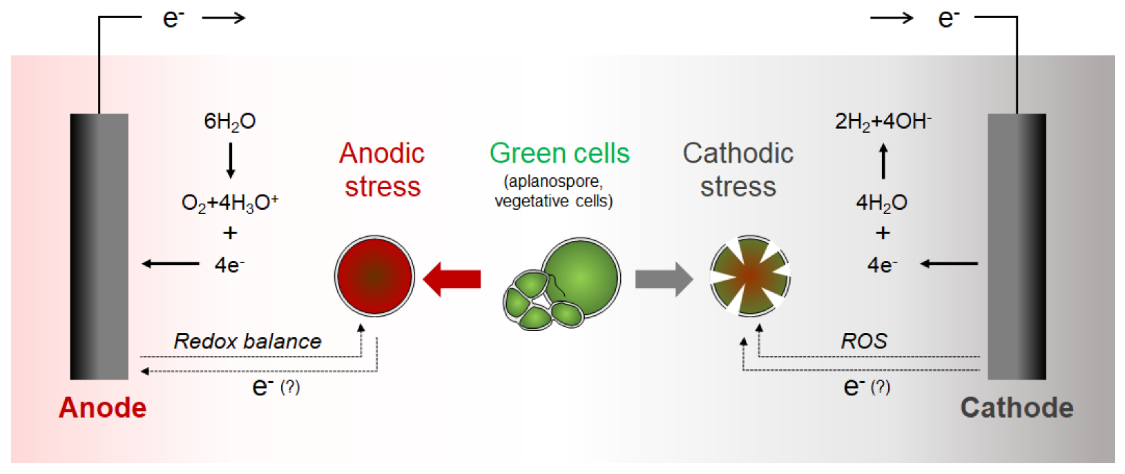Applsci 11 03348 g006 Applsci 11 03348 g006