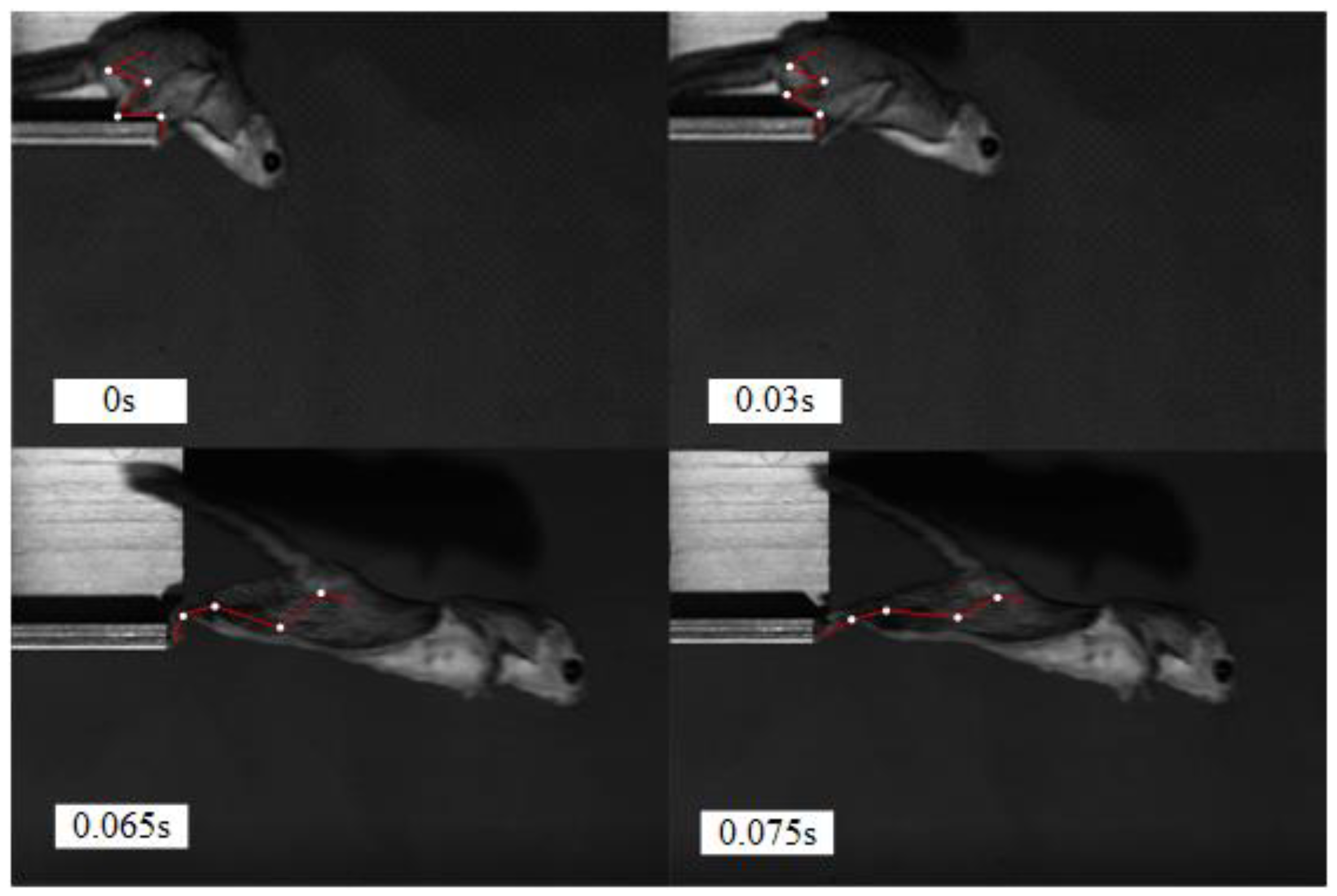 Applsci 11 03362 g003 Applsci 11 03362 g003