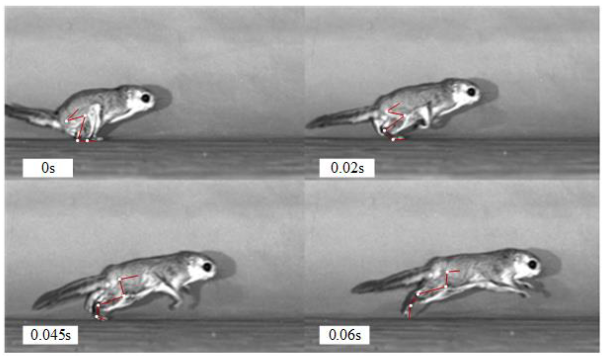 Applsci 11 03362 g004 Applsci 11 03362 g004