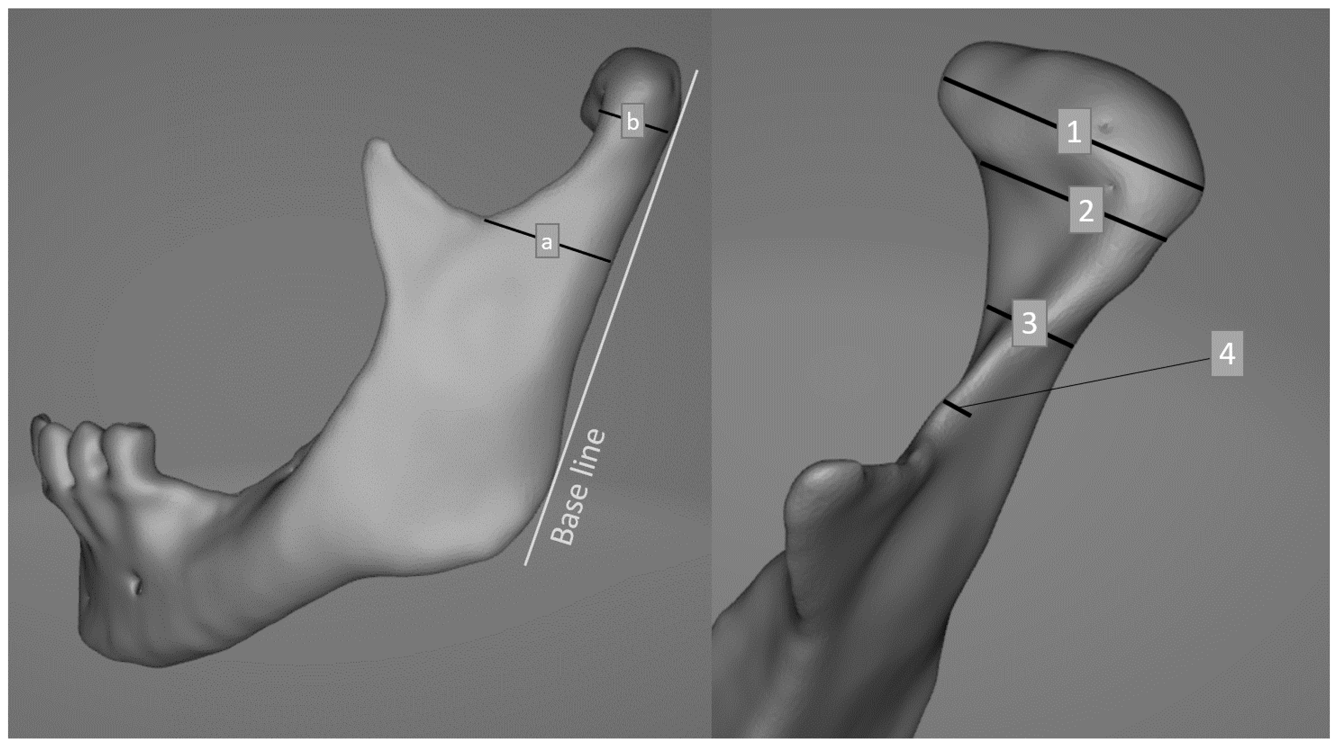 Applsci 11 03371 g001