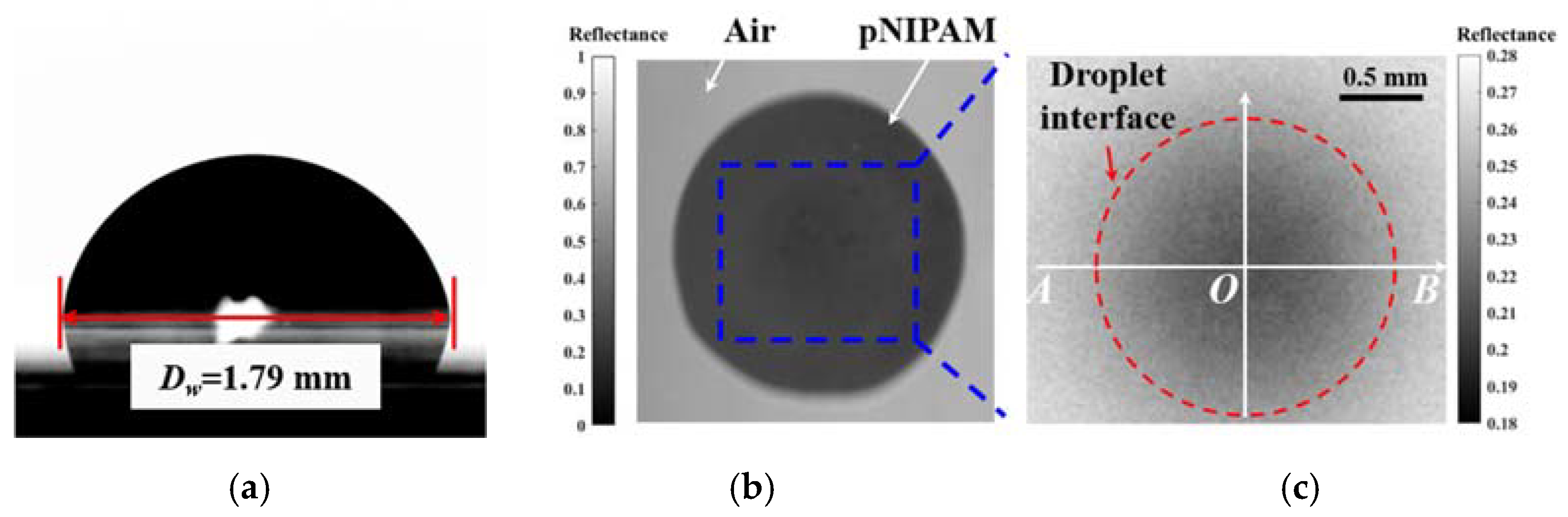 Applsci 11 03379 g005 Applsci 11 03379 g005