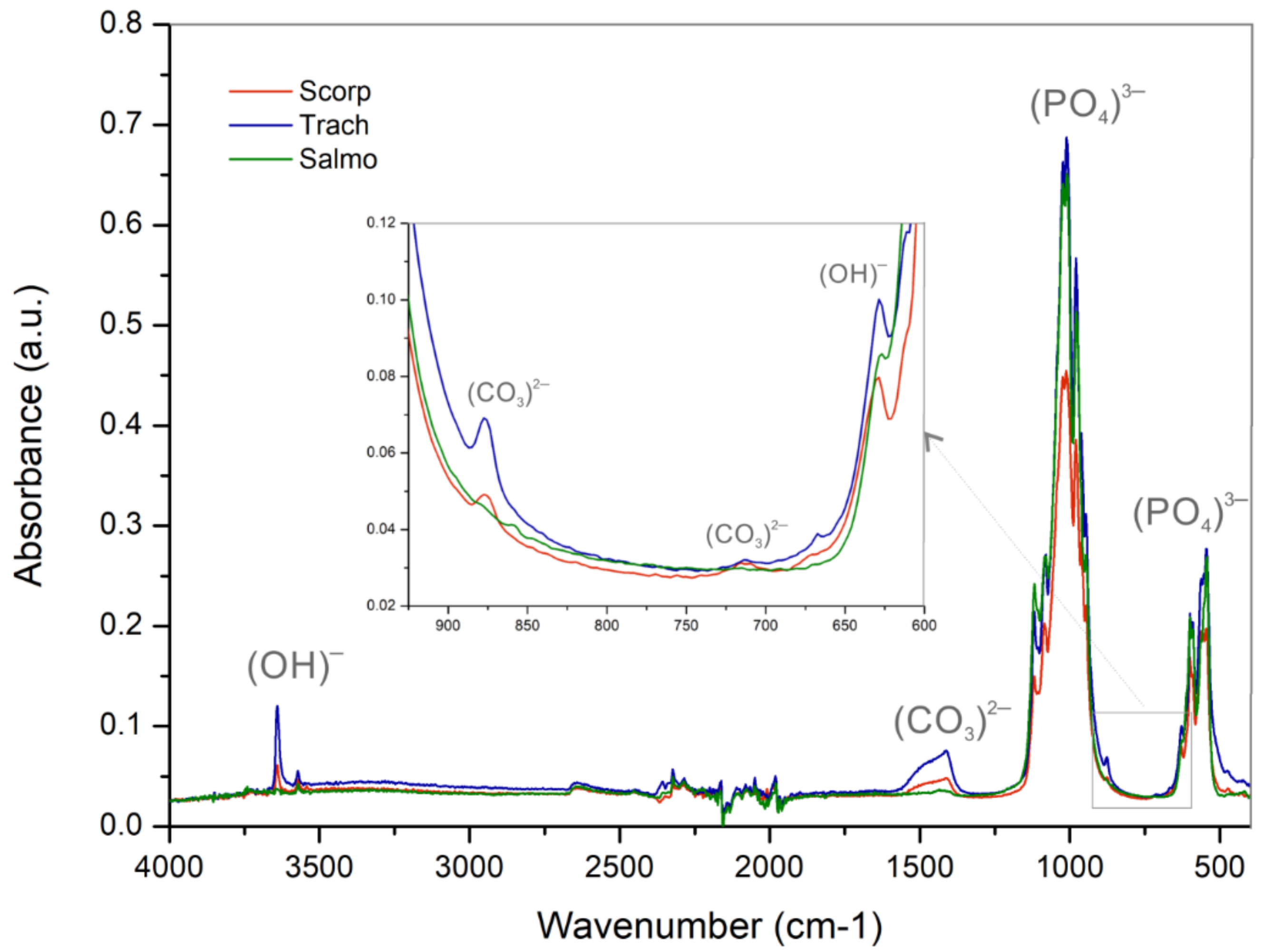 Applsci 11 03387 g005