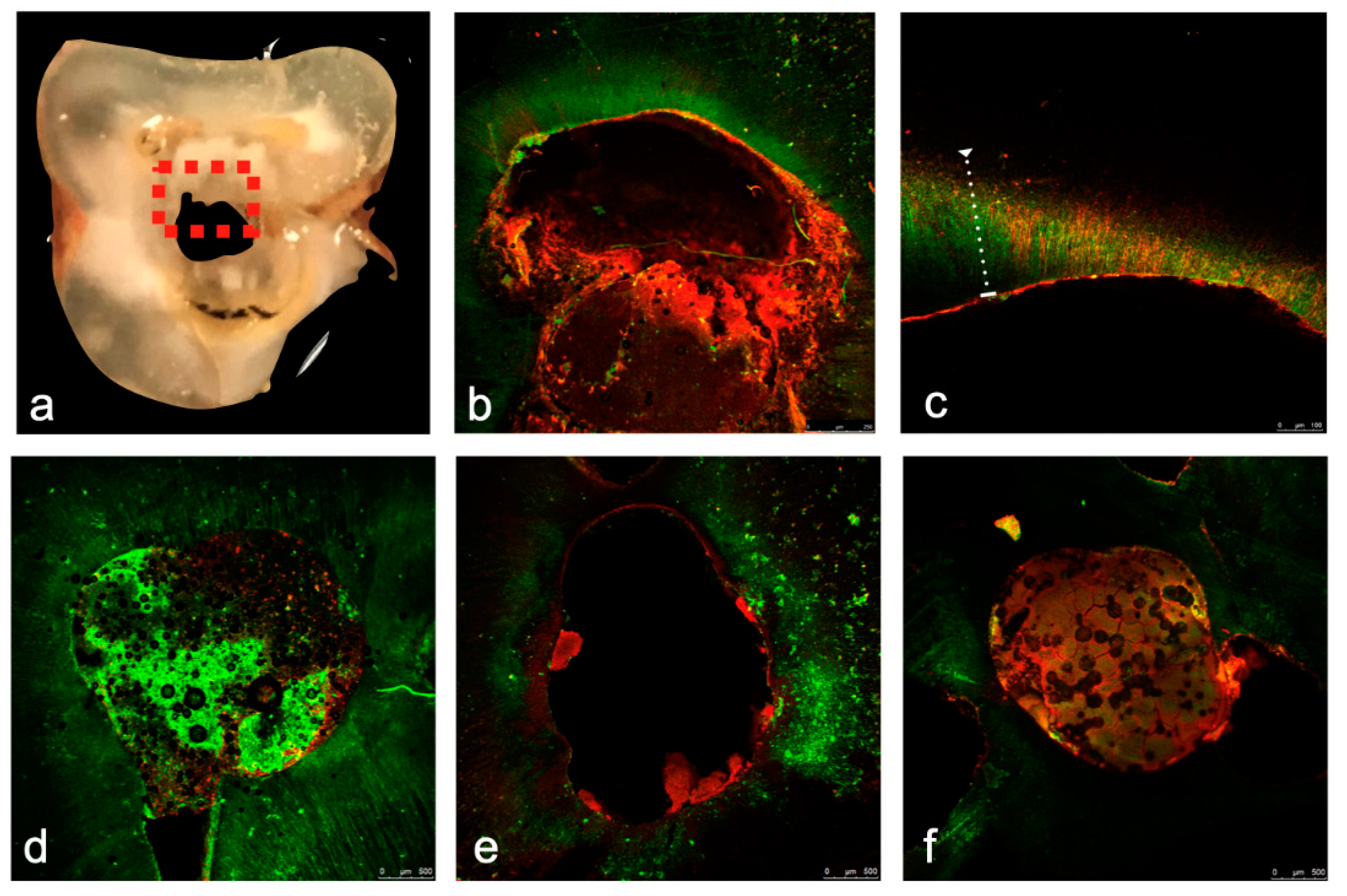 Applsci 11 03403 g002 Applsci 11 03403 g002