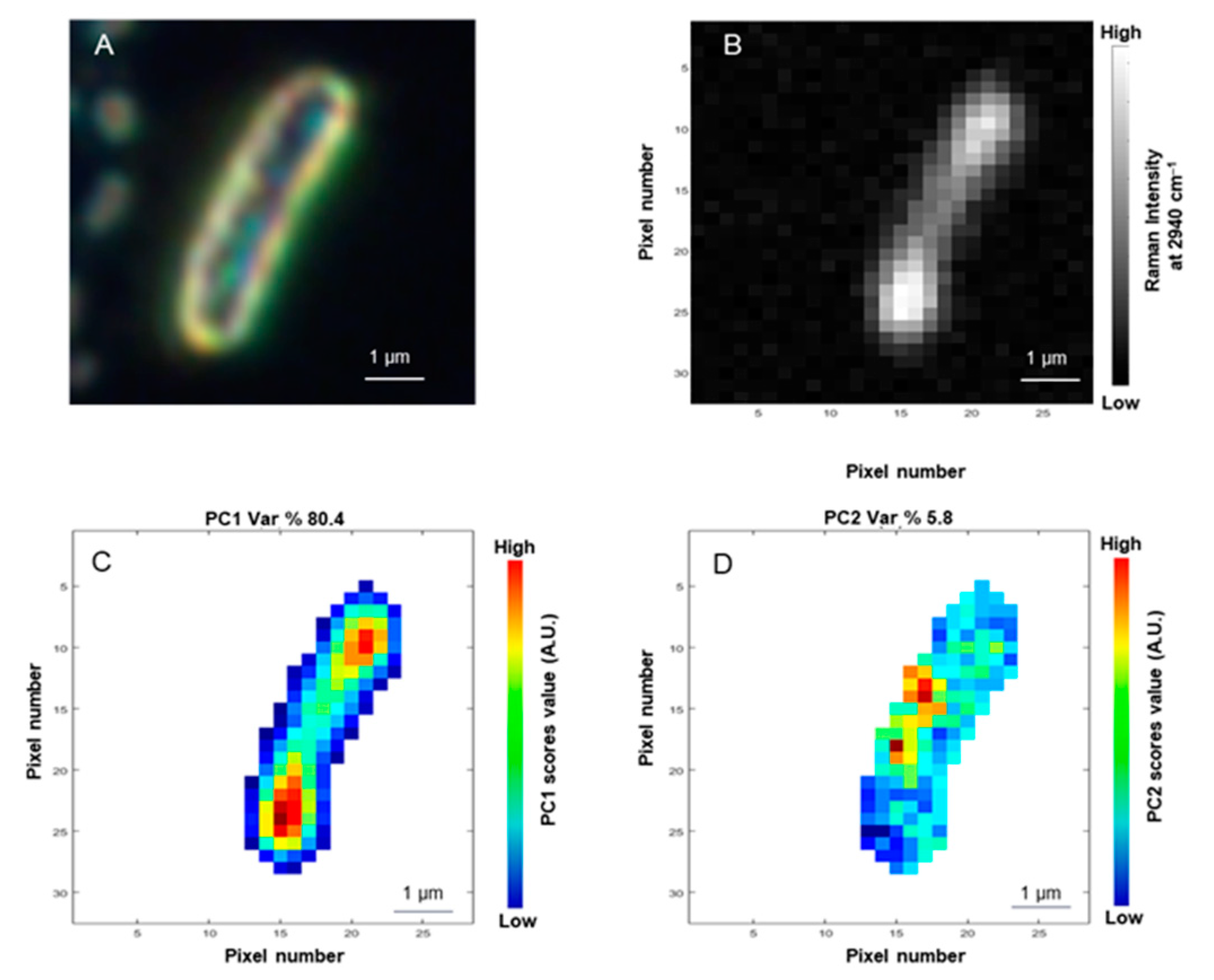 Applsci 11 03409 g003 Applsci 11 03409 g003