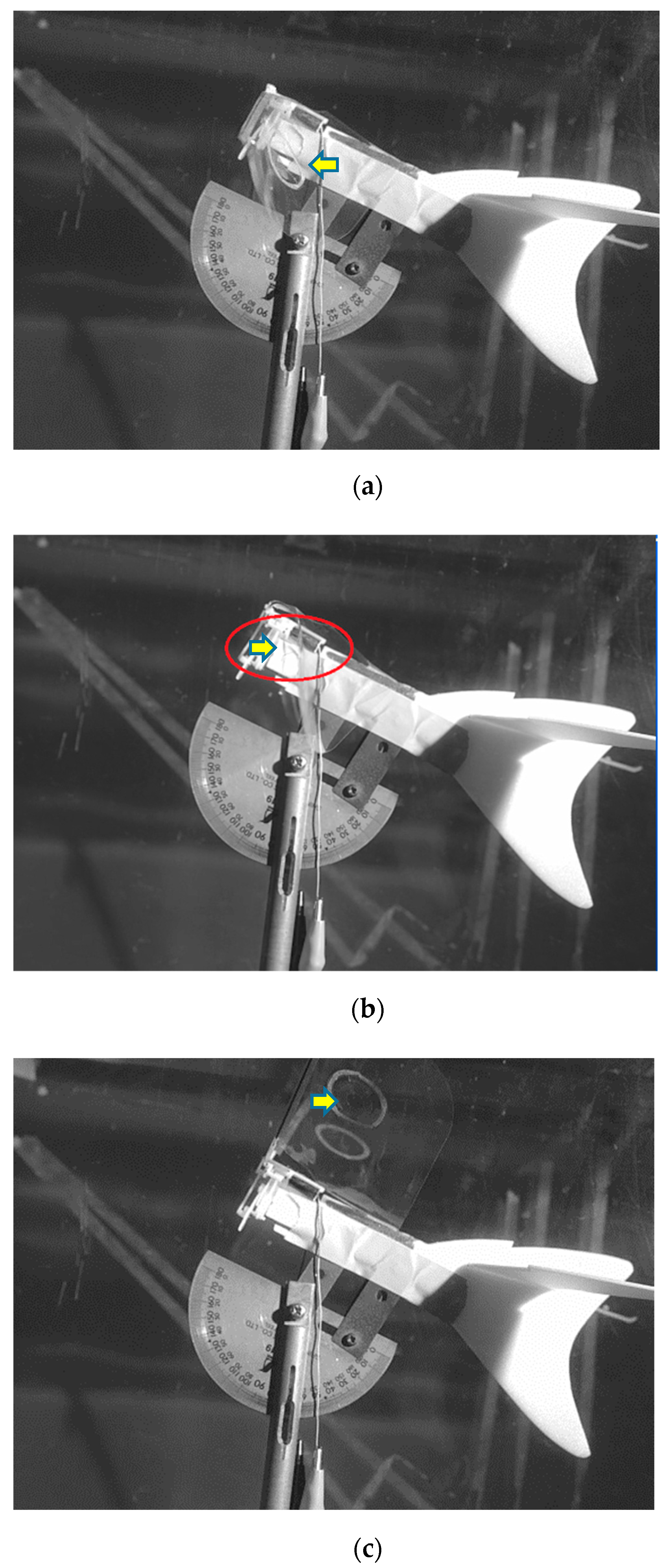 Applsci 11 03416 g005 Applsci 11 03416 g005