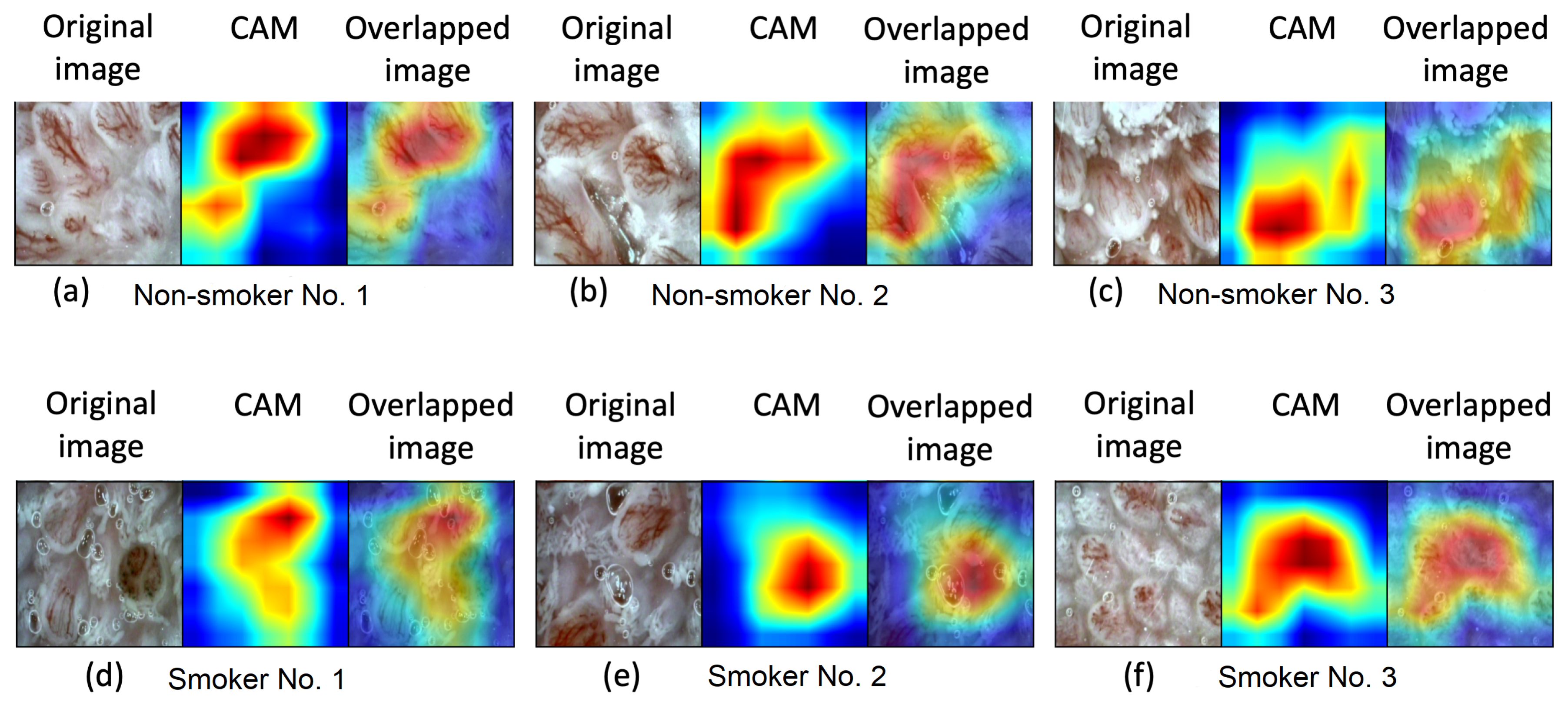 Applsci 11 03460 g005