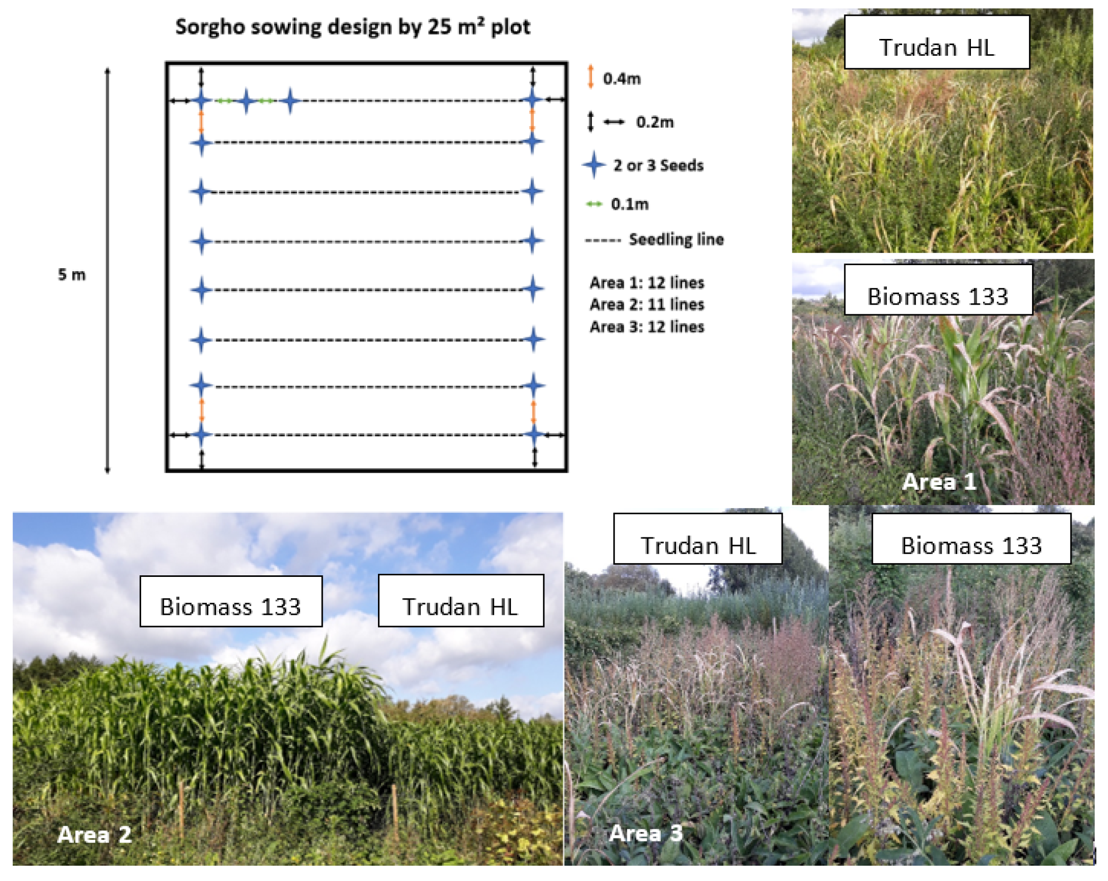 Applsci 11 03471 g001 Applsci 11 03471 g001