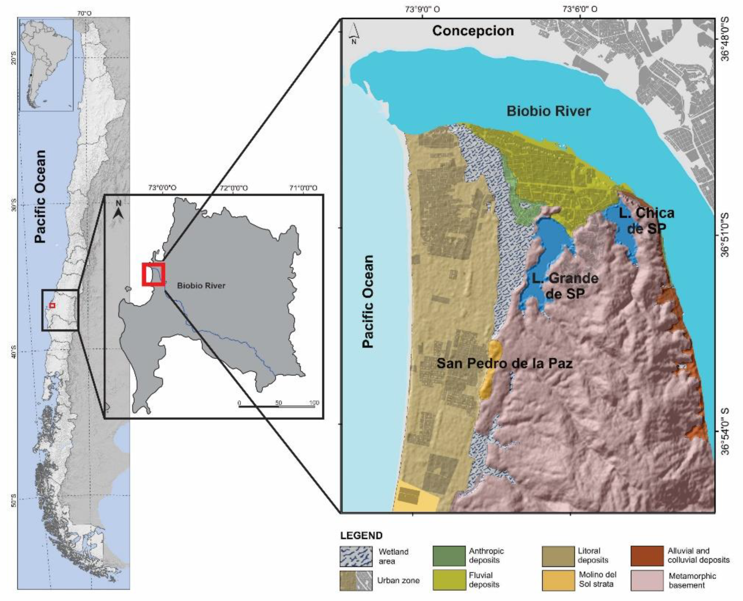 Barra z concepcion deals