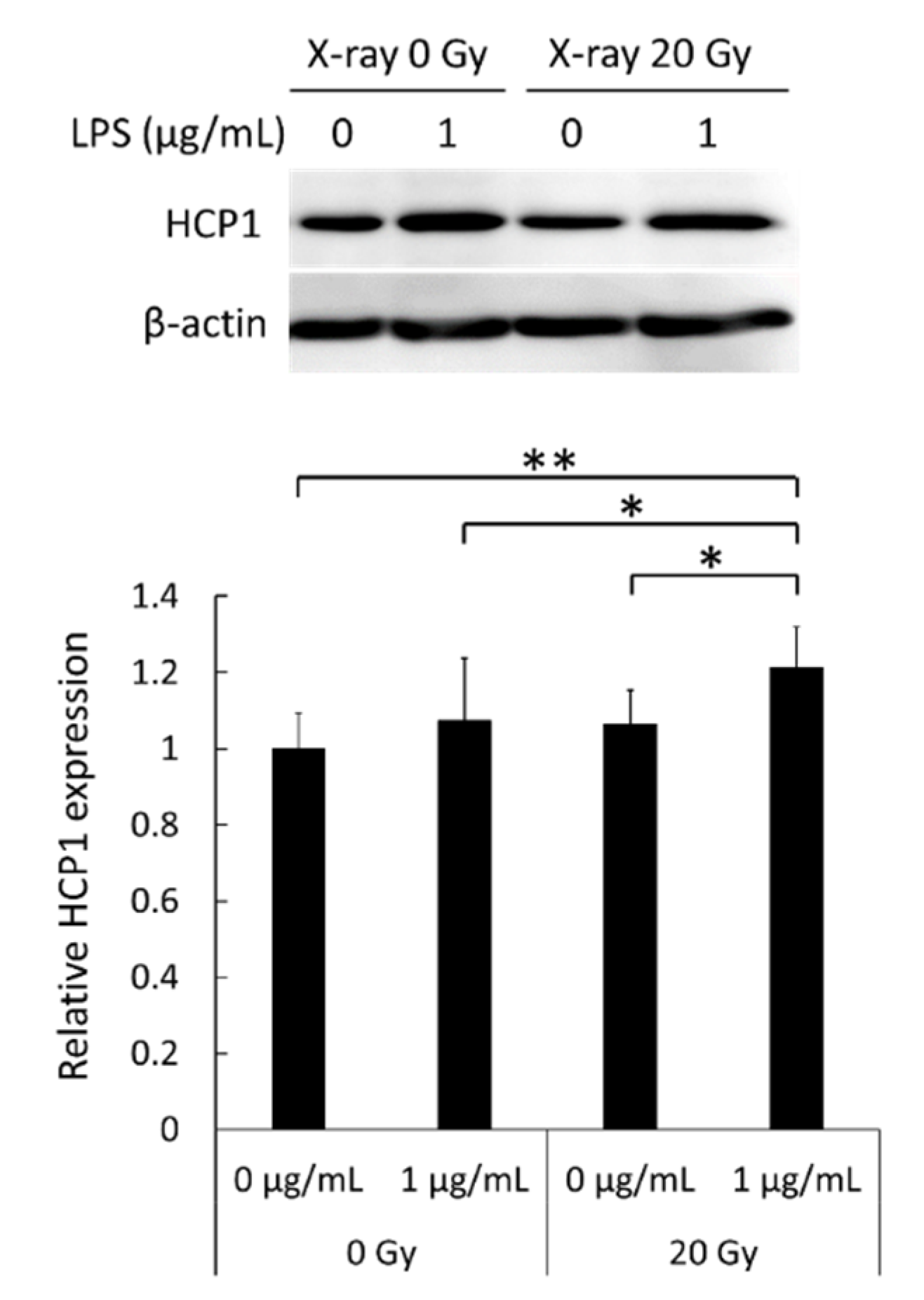 Applsci 11 03503 g005