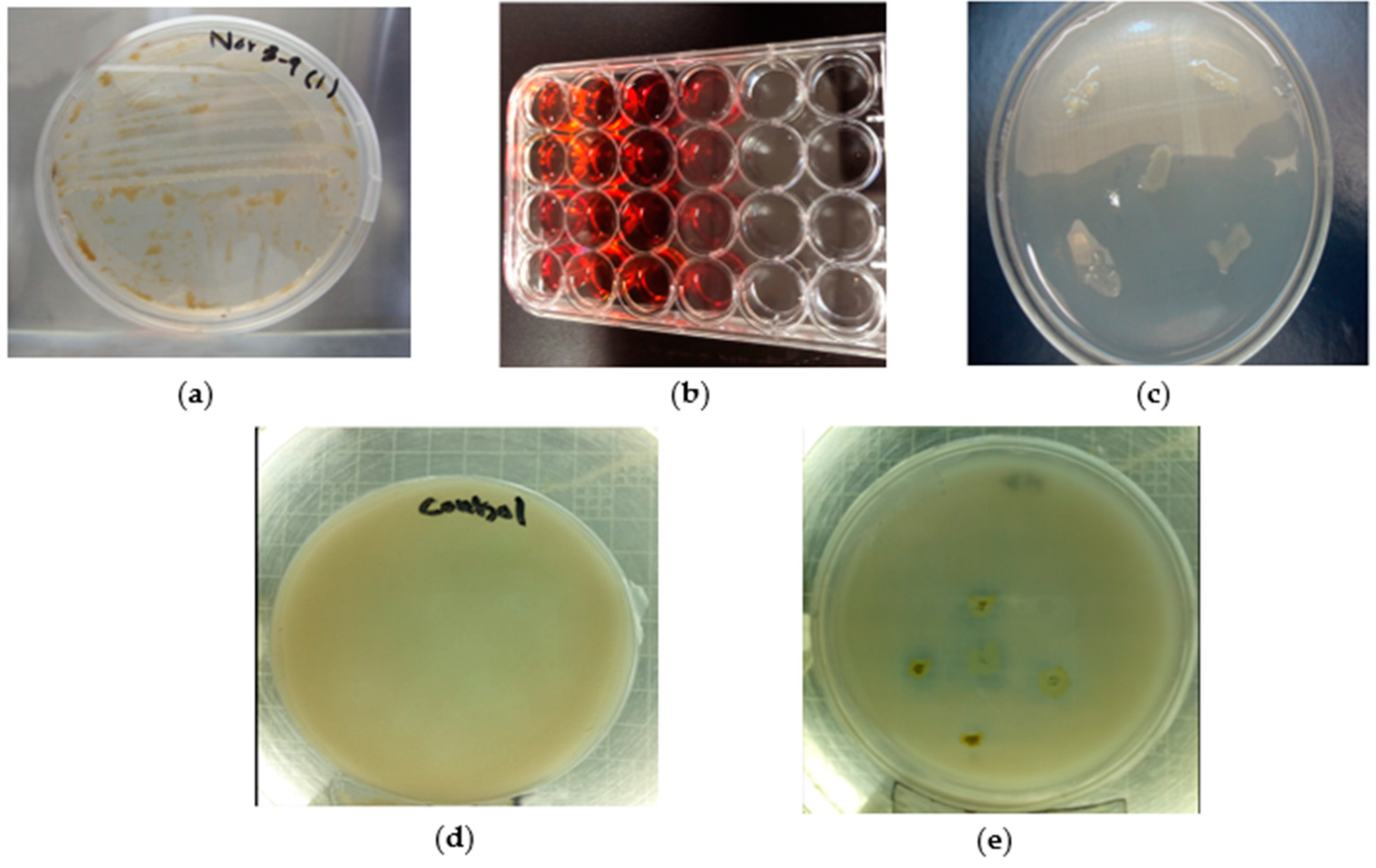Applsci 11 03504 g002