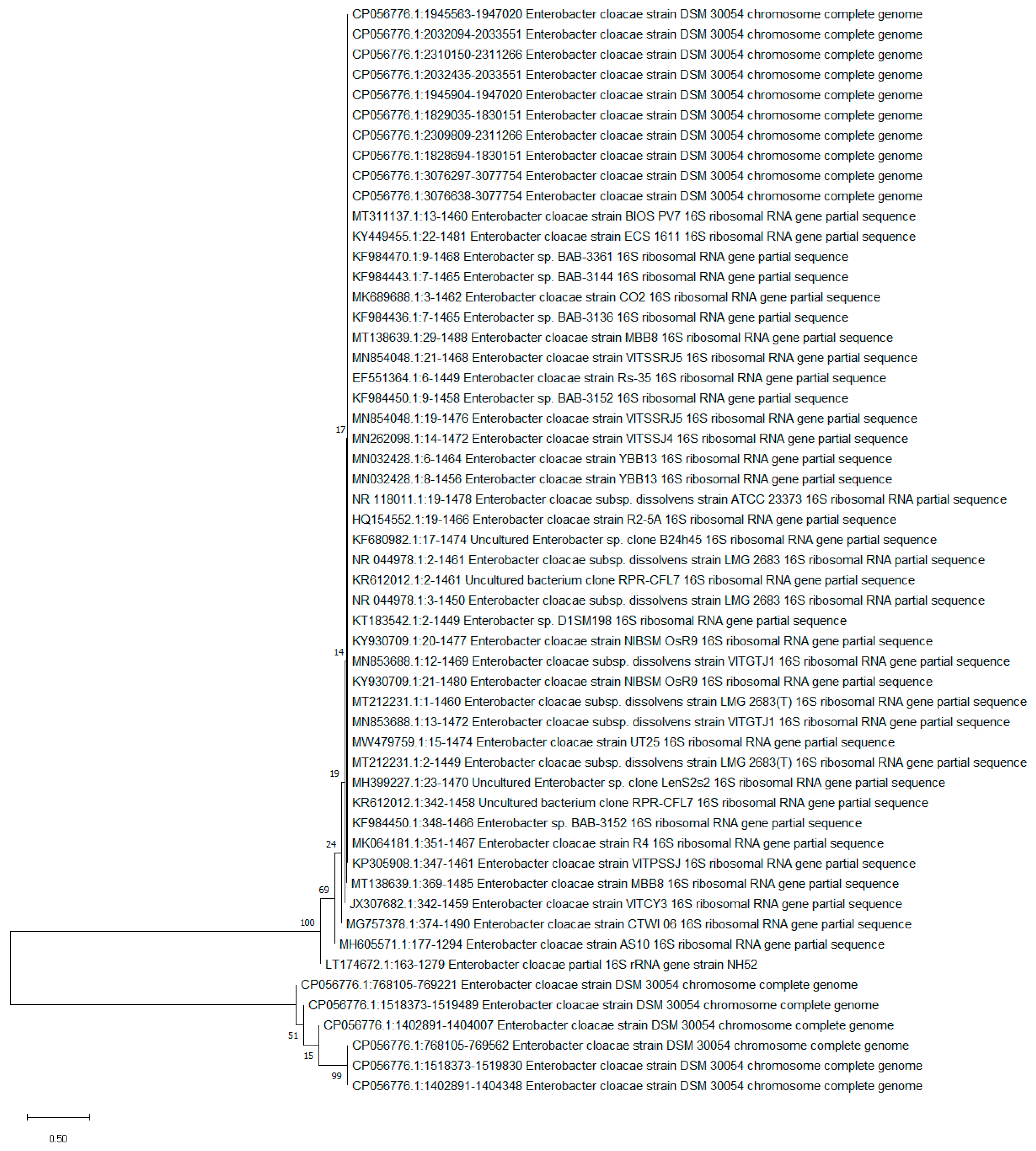 Applsci 11 03504 g005