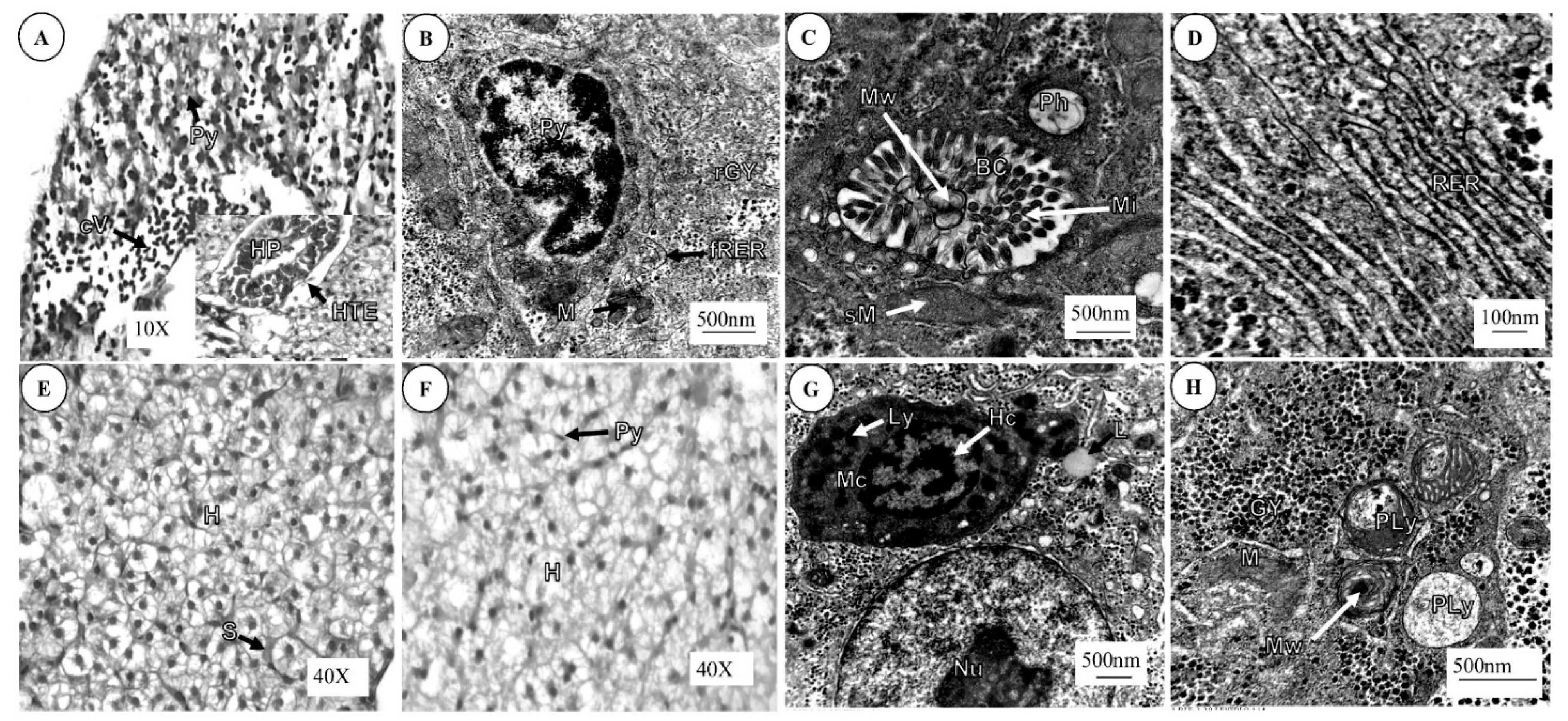 Applsci 11 03507 g002 Applsci 11 03507 g002