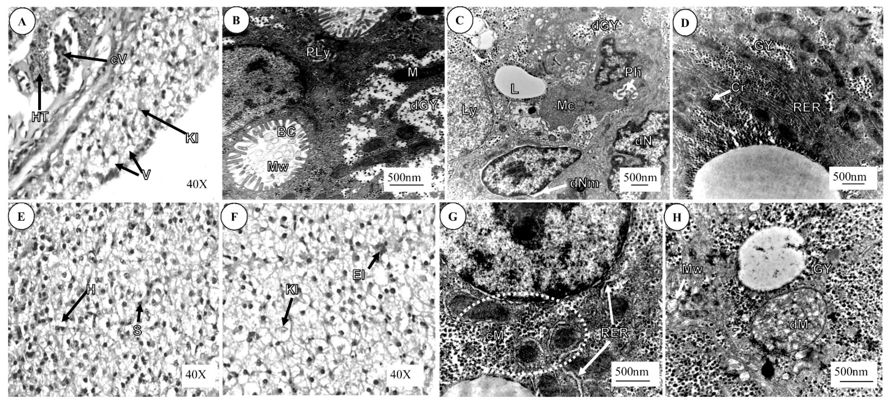 Applsci 11 03507 g003 Applsci 11 03507 g003