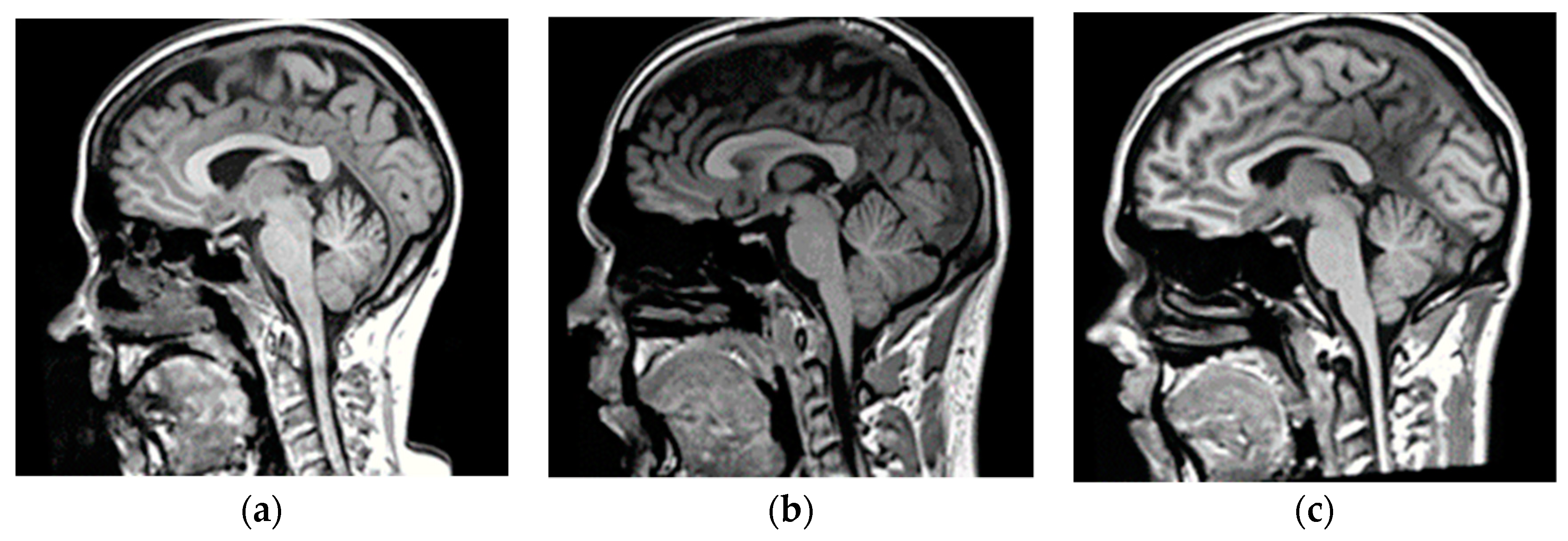 Applsci 11 03508 g002a Applsci 11 03508 g002a